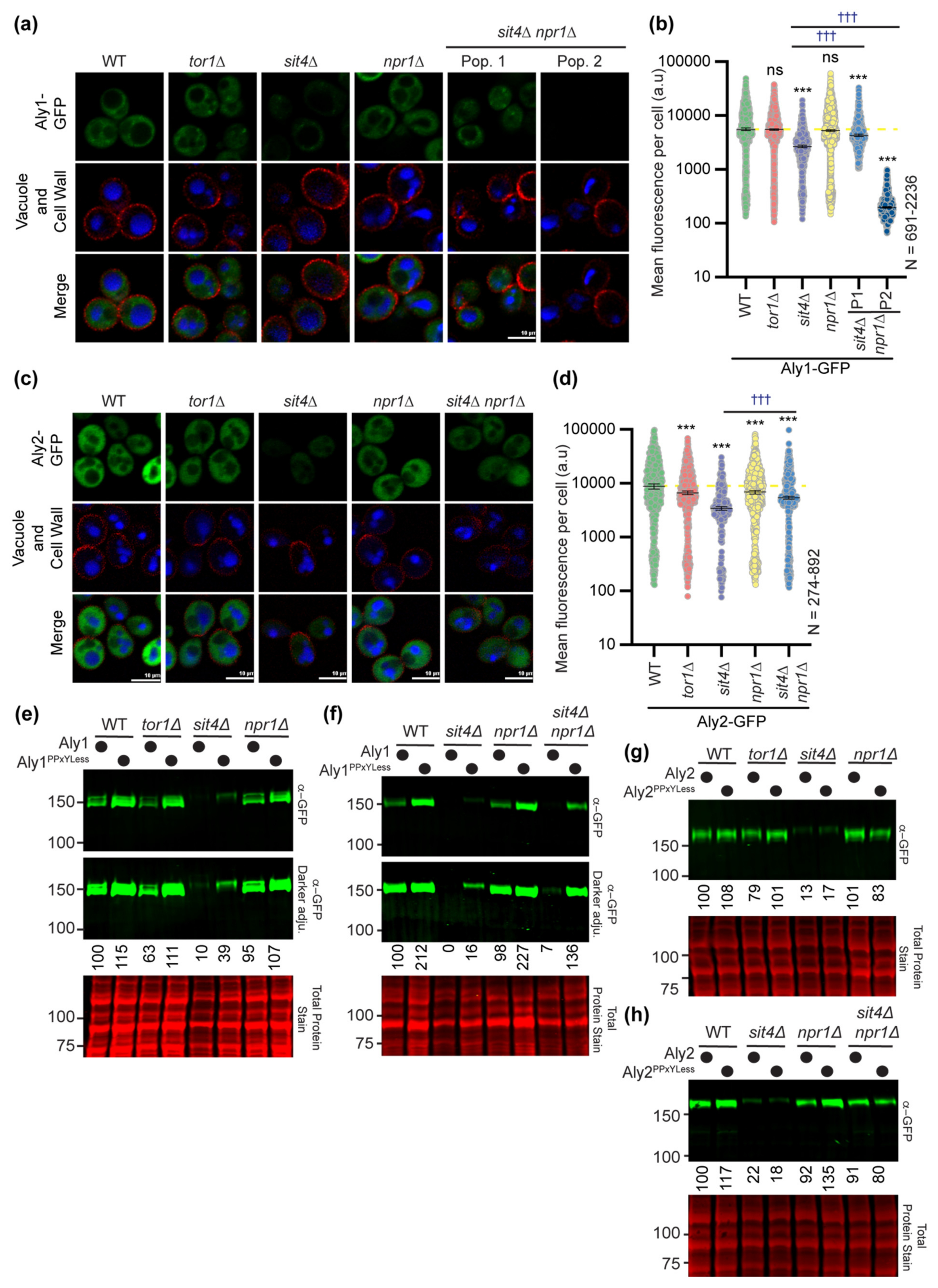 Biomolecules 12 00533 g006
