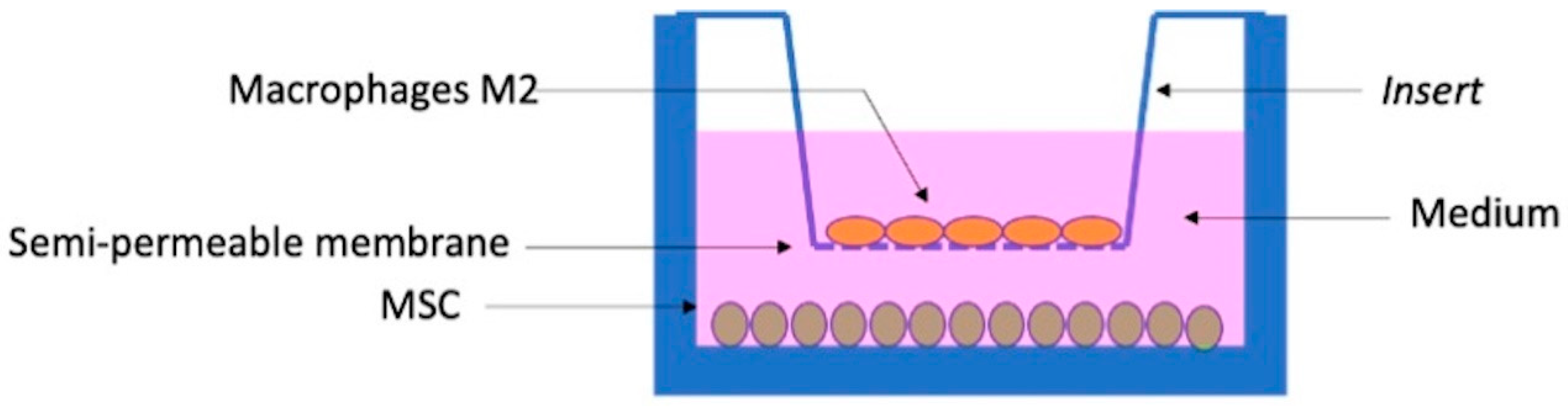 Biomolecules 12 00534 g001