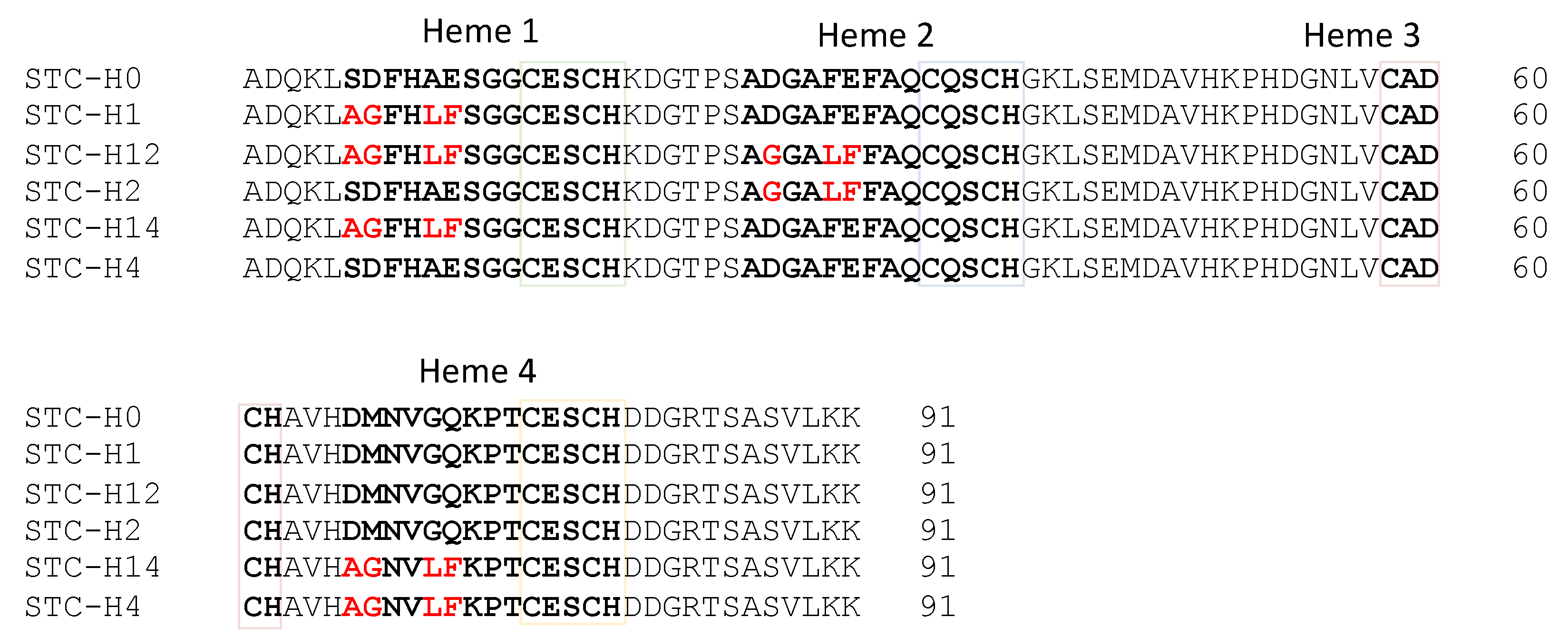 Biomolecules 12 00549 g001 Biomolecules 12 00549 g001