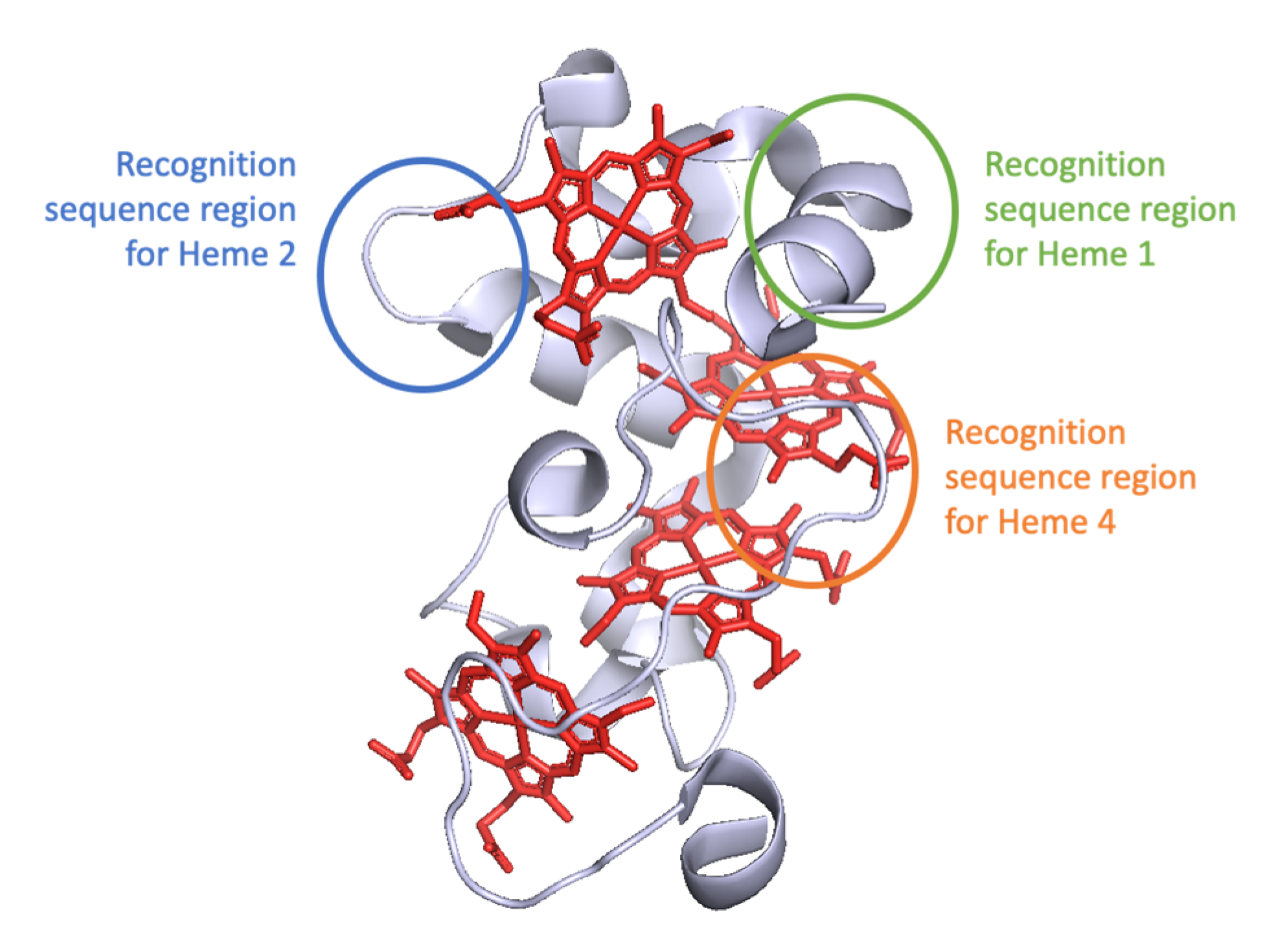 Biomolecules 12 00549 g003 Biomolecules 12 00549 g003