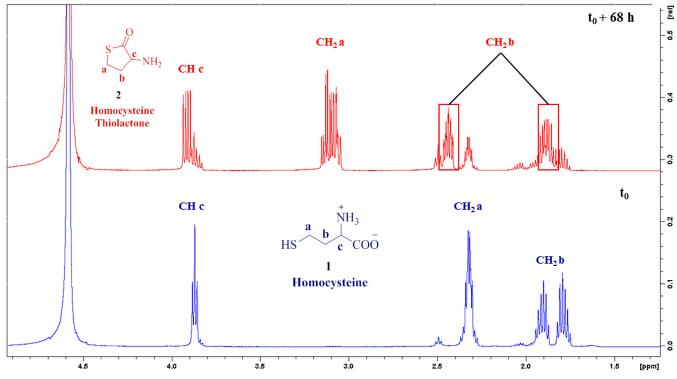 Biomolecules 12 00555 g002