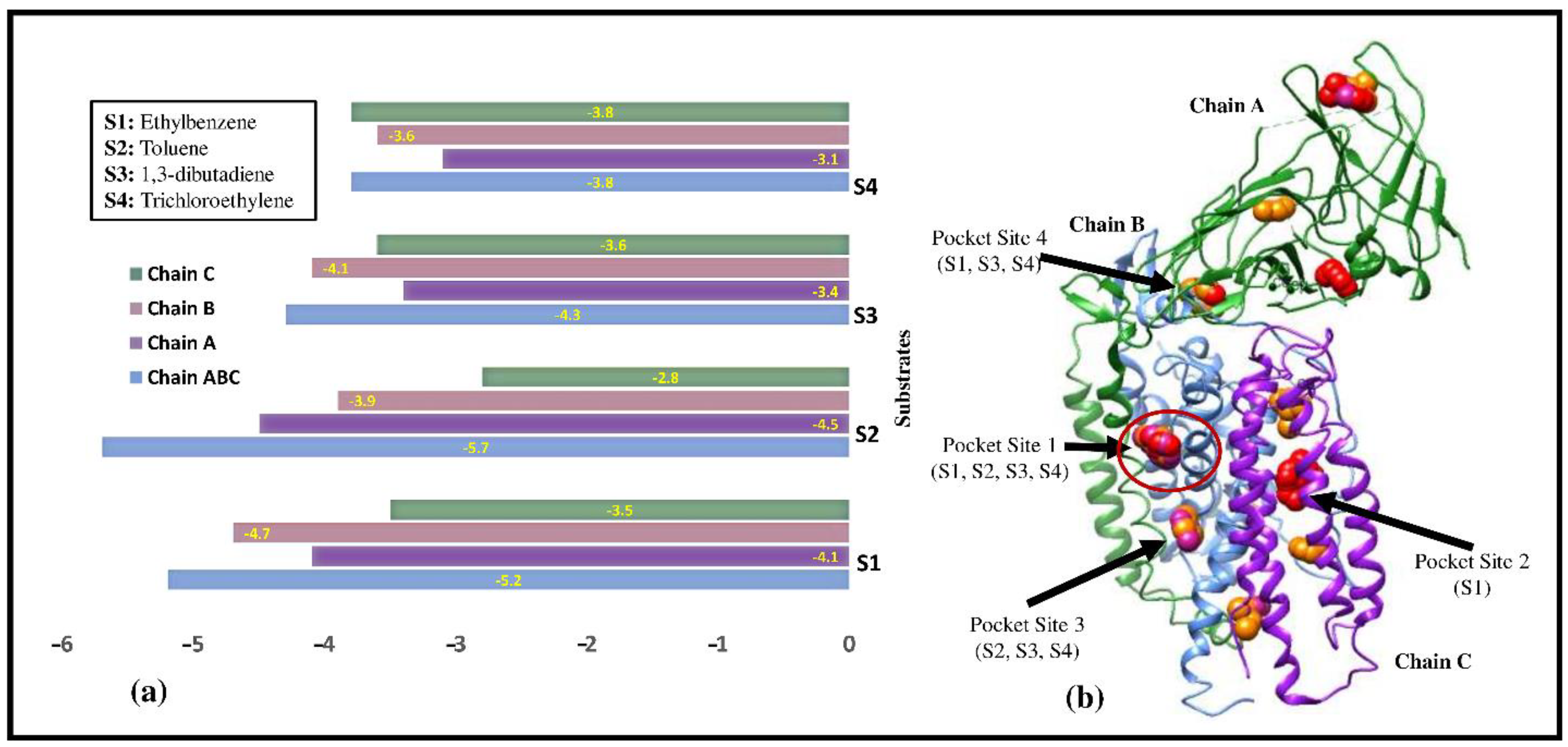 Biomolecules 12 00560 g003 Biomolecules 12 00560 g003