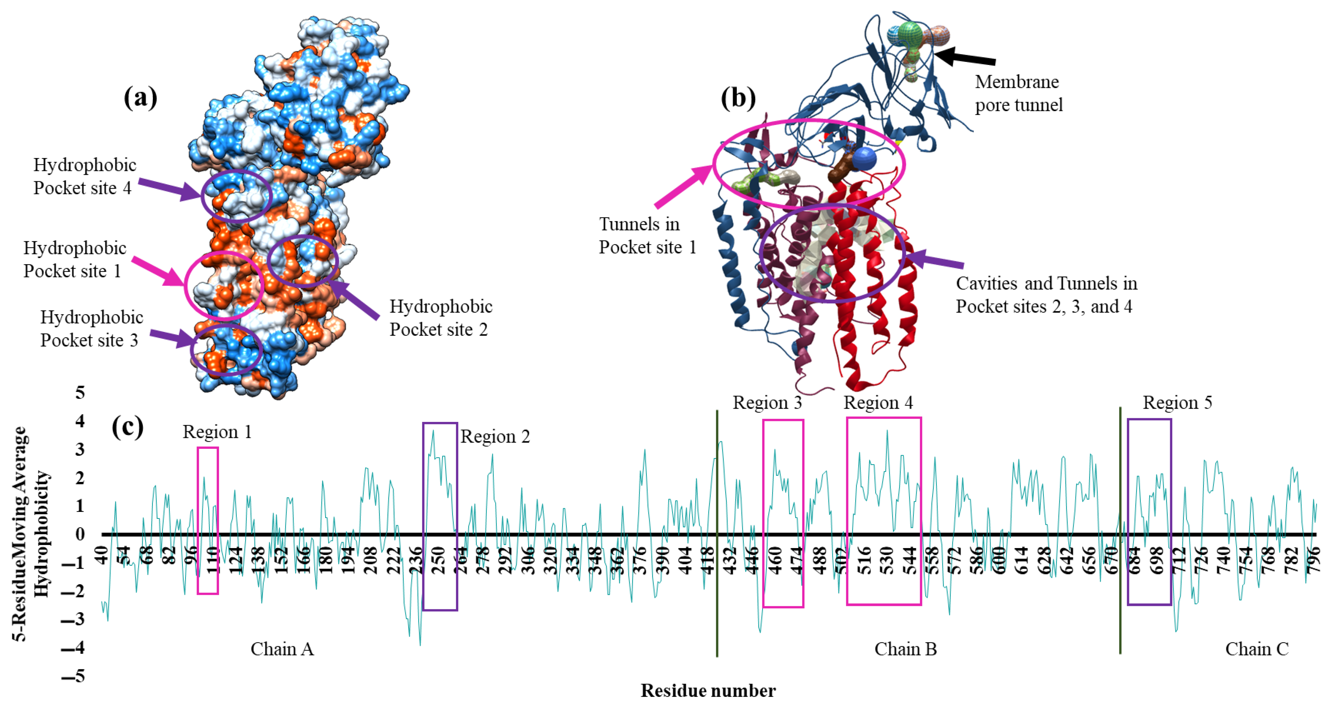 Biomolecules 12 00560 g004 Biomolecules 12 00560 g004