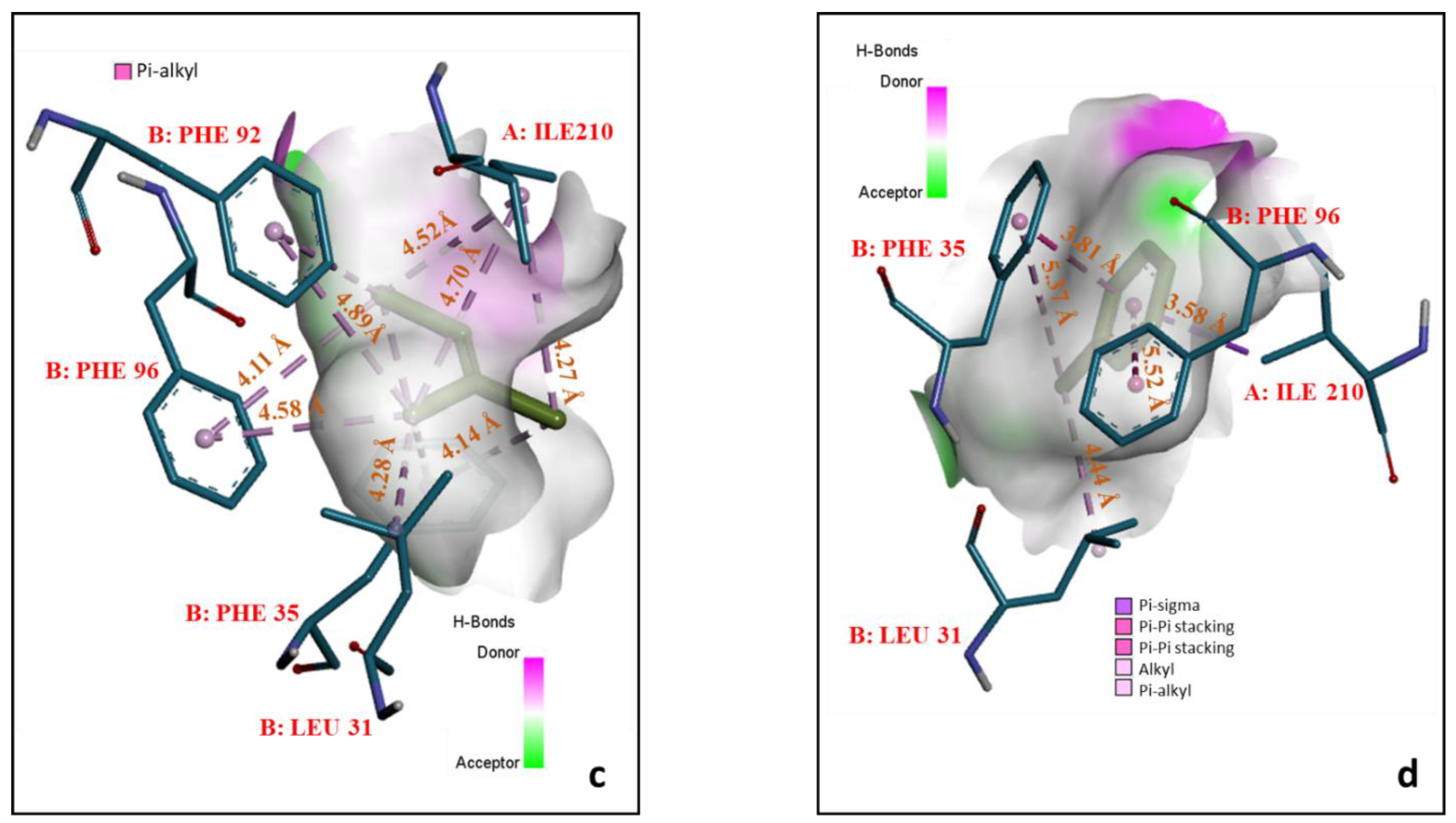 Biomolecules 12 00560 g005b Biomolecules 12 00560 g005b