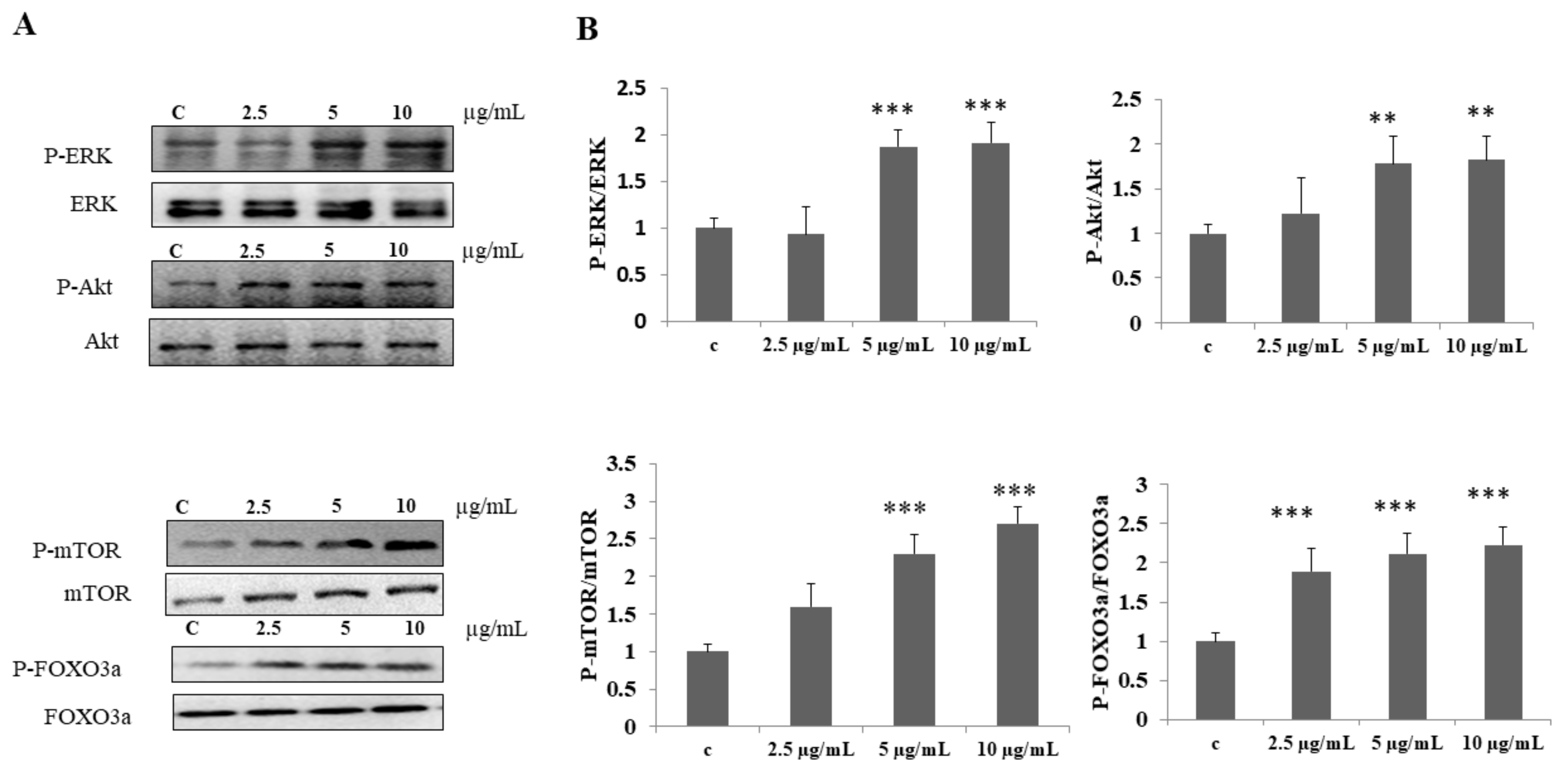 Biomolecules 12 00565 g002