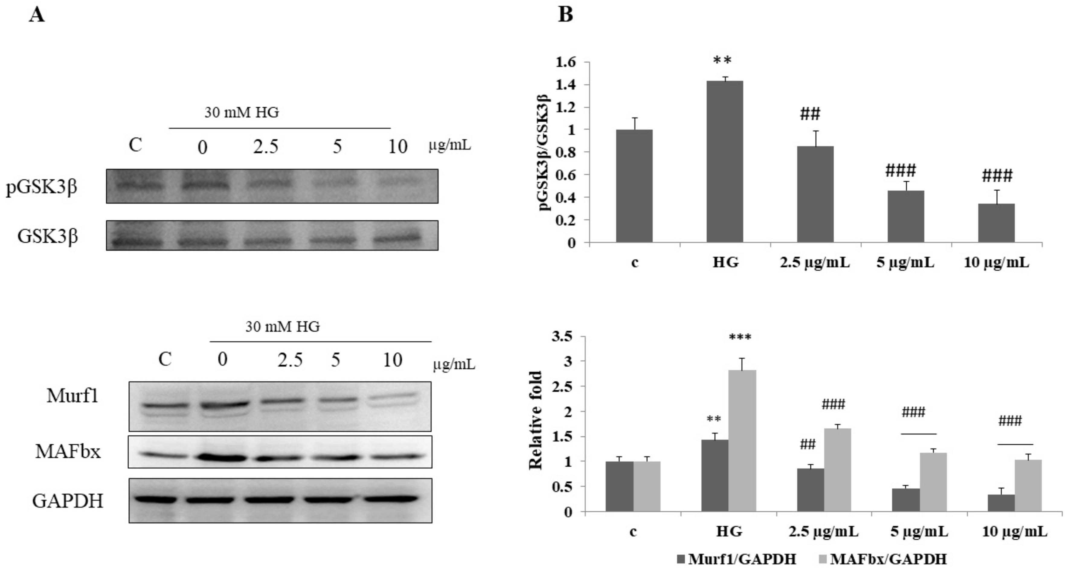 Biomolecules 12 00565 g006