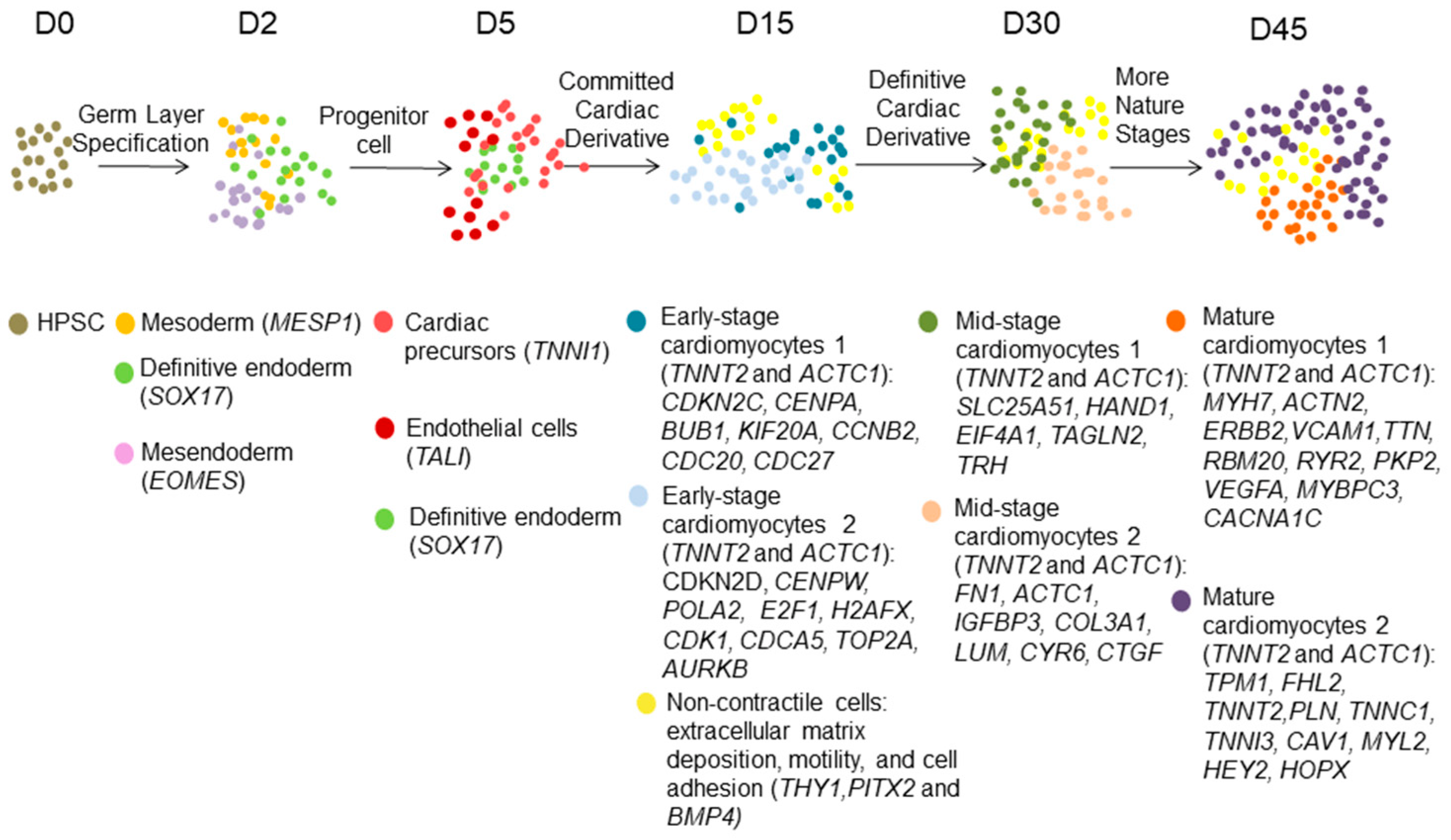 Biomolecules 12 00566 g002 Biomolecules 12 00566 g002