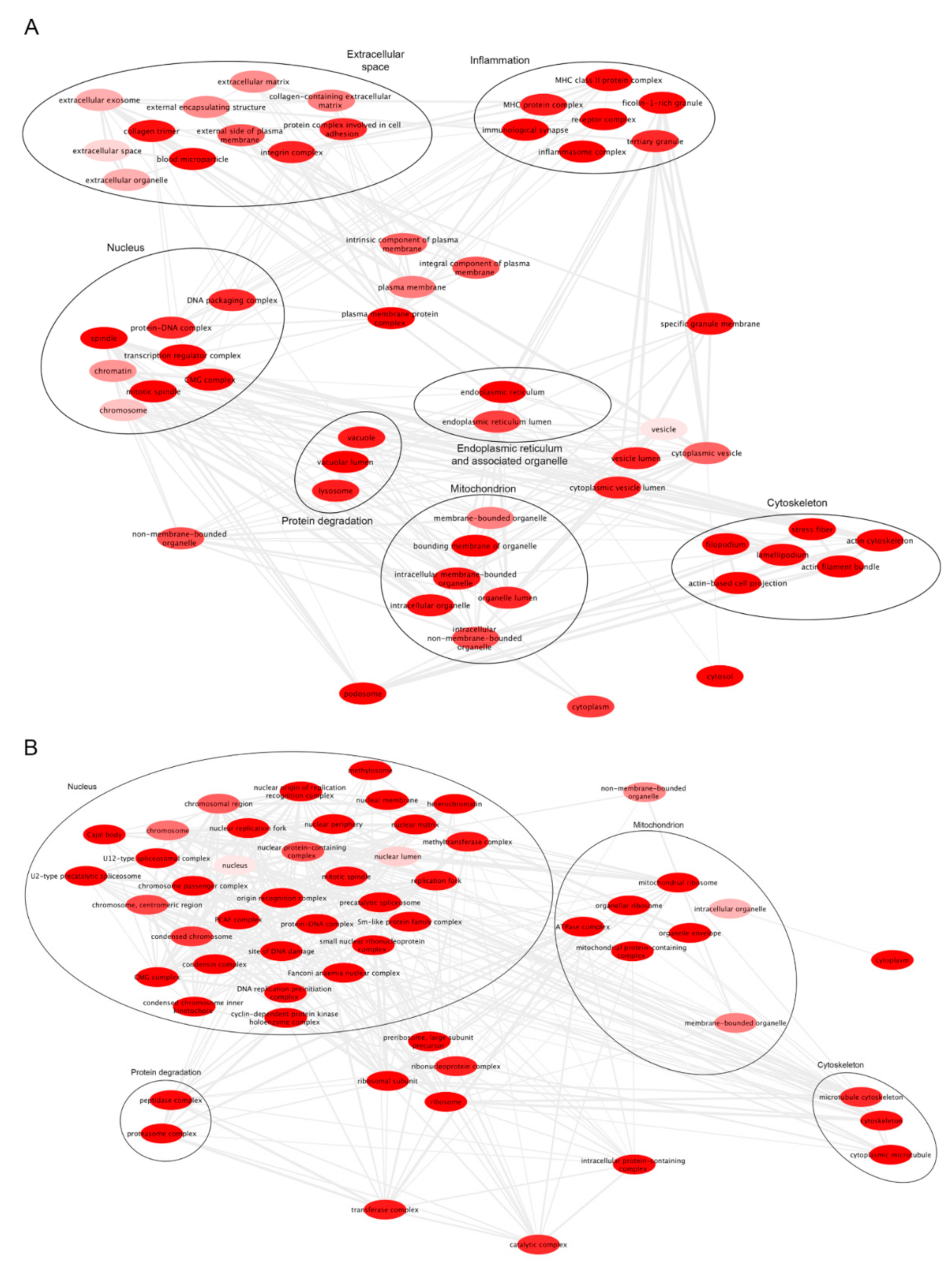 Biomolecules 12 00567 g001