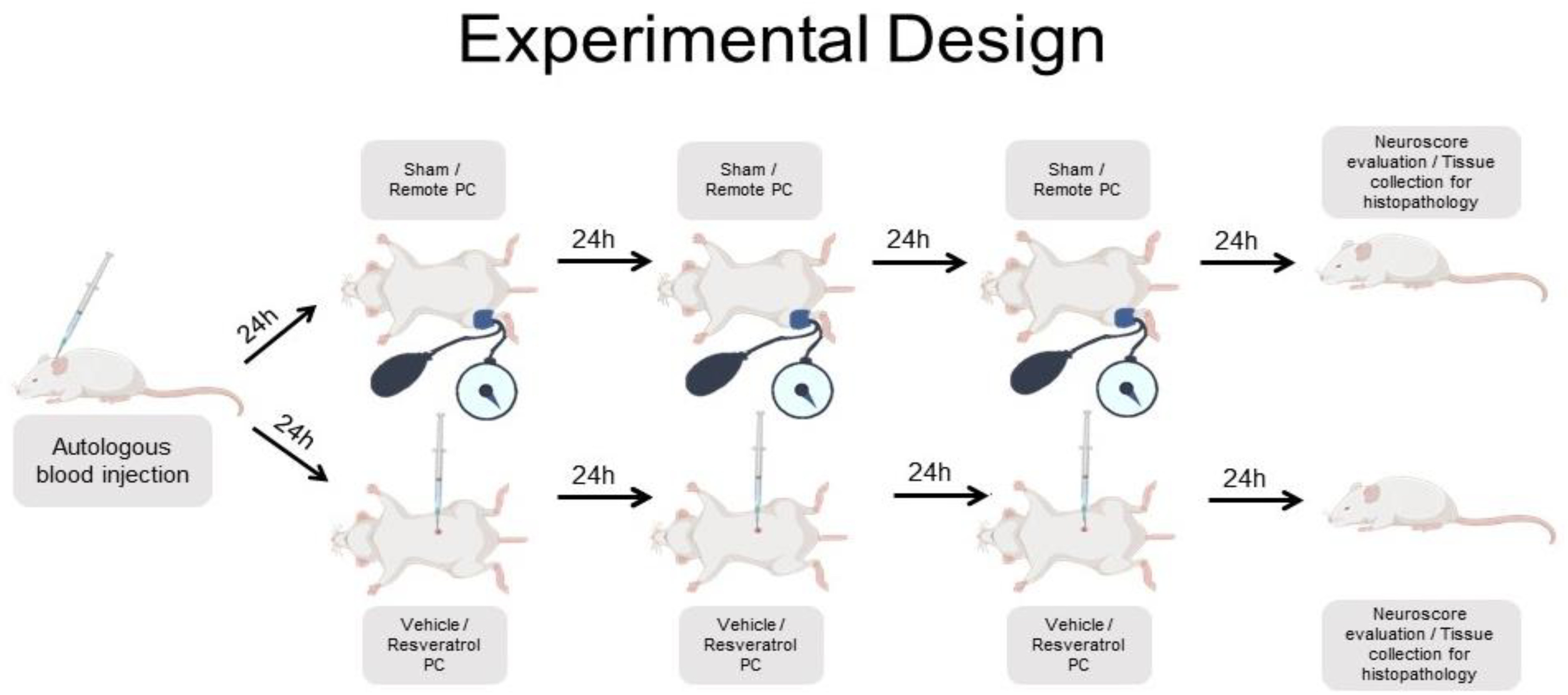 Biomolecules 12 00568 g001