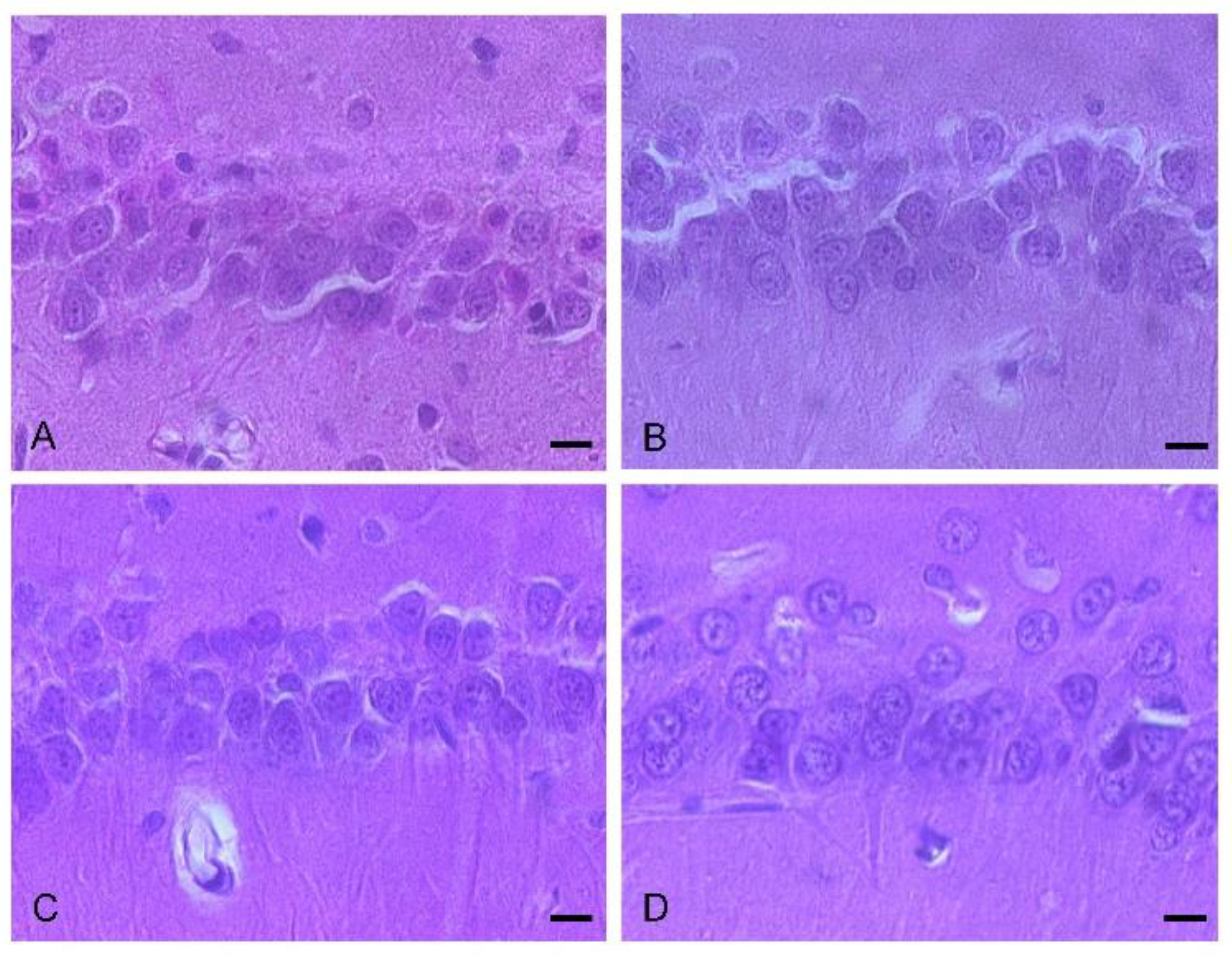 Biomolecules 12 00568 g004