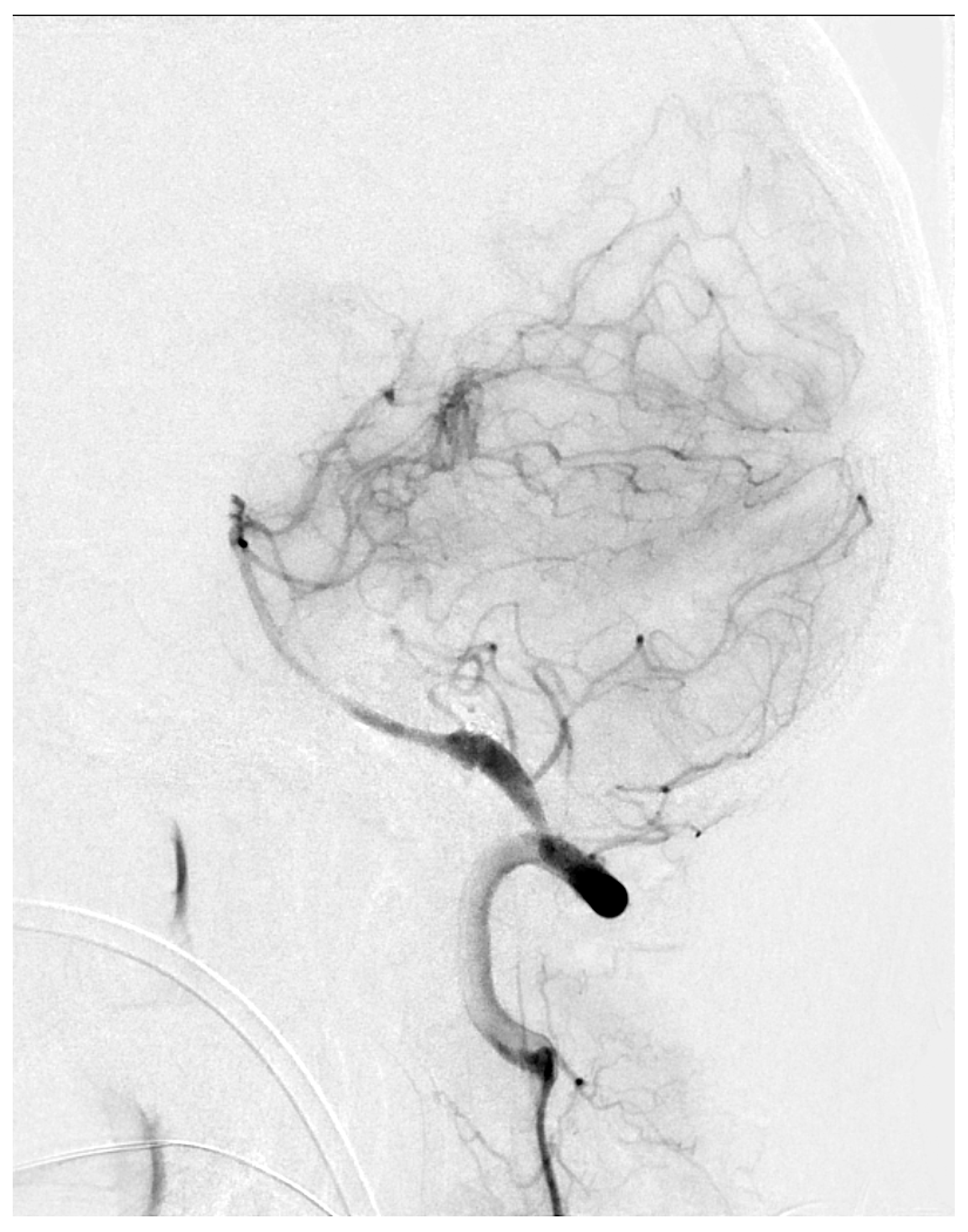 Biomolecules 12 00568 g005
