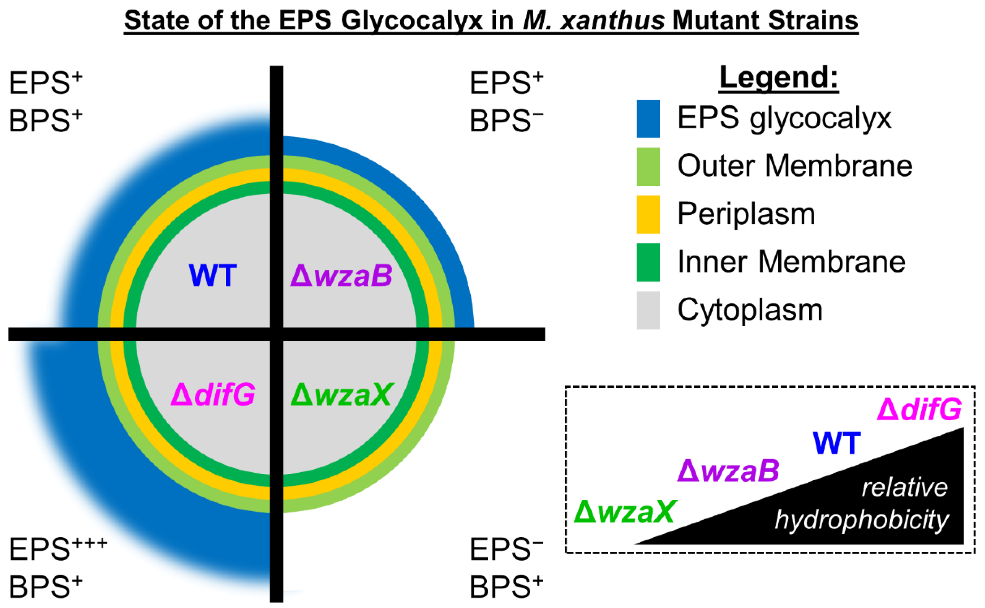 Biomolecules 12 00571 g001