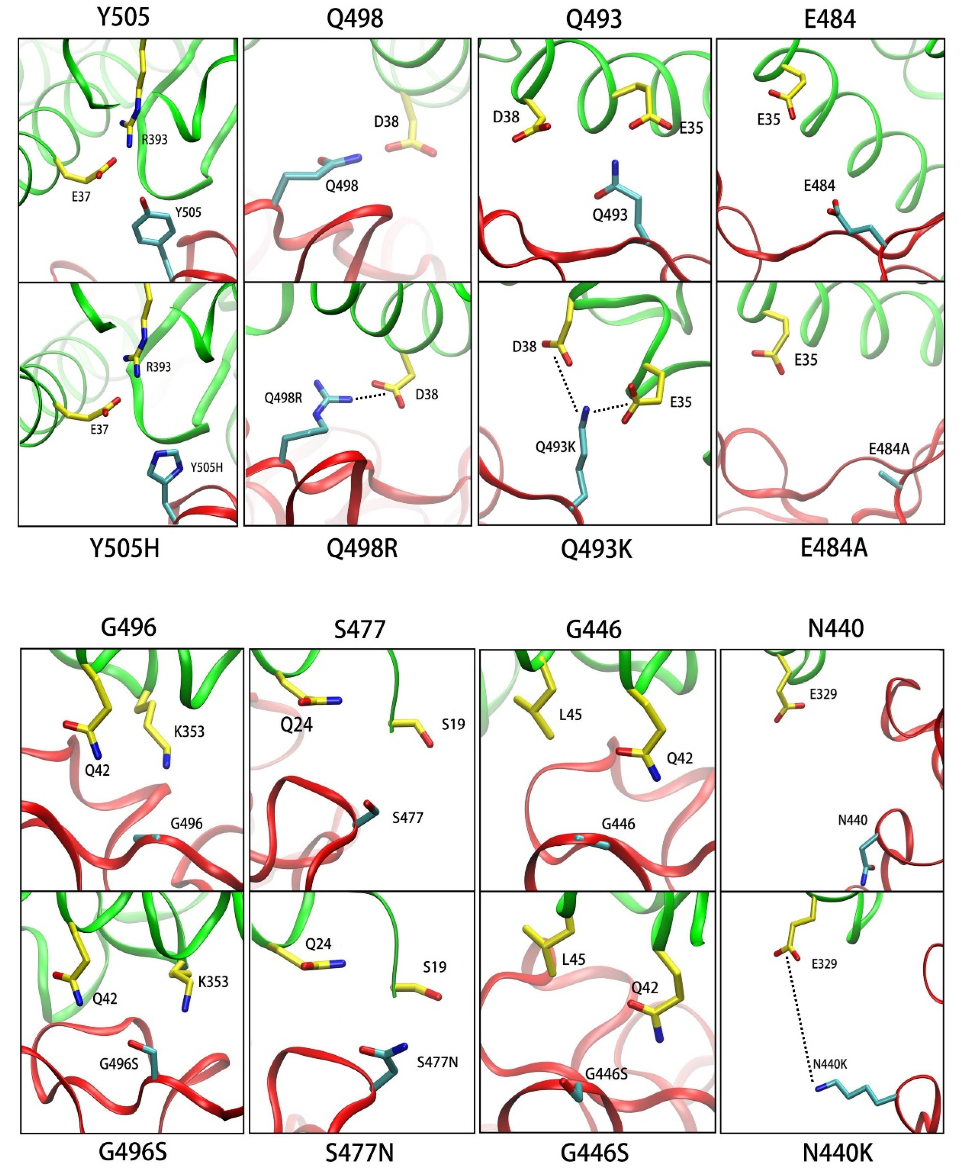Biomolecules 12 00572 g006