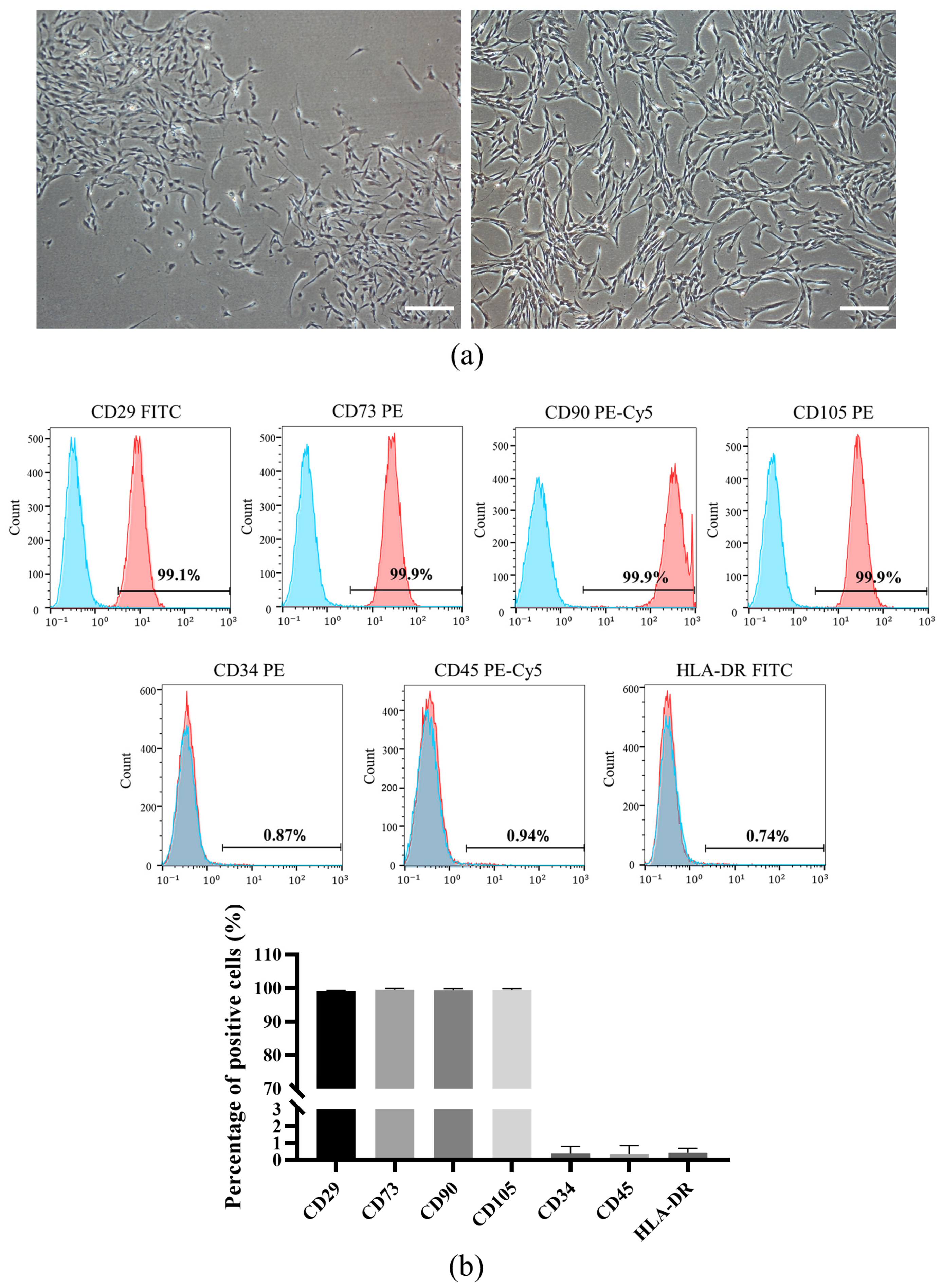 Biomolecules 12 00575 g001a