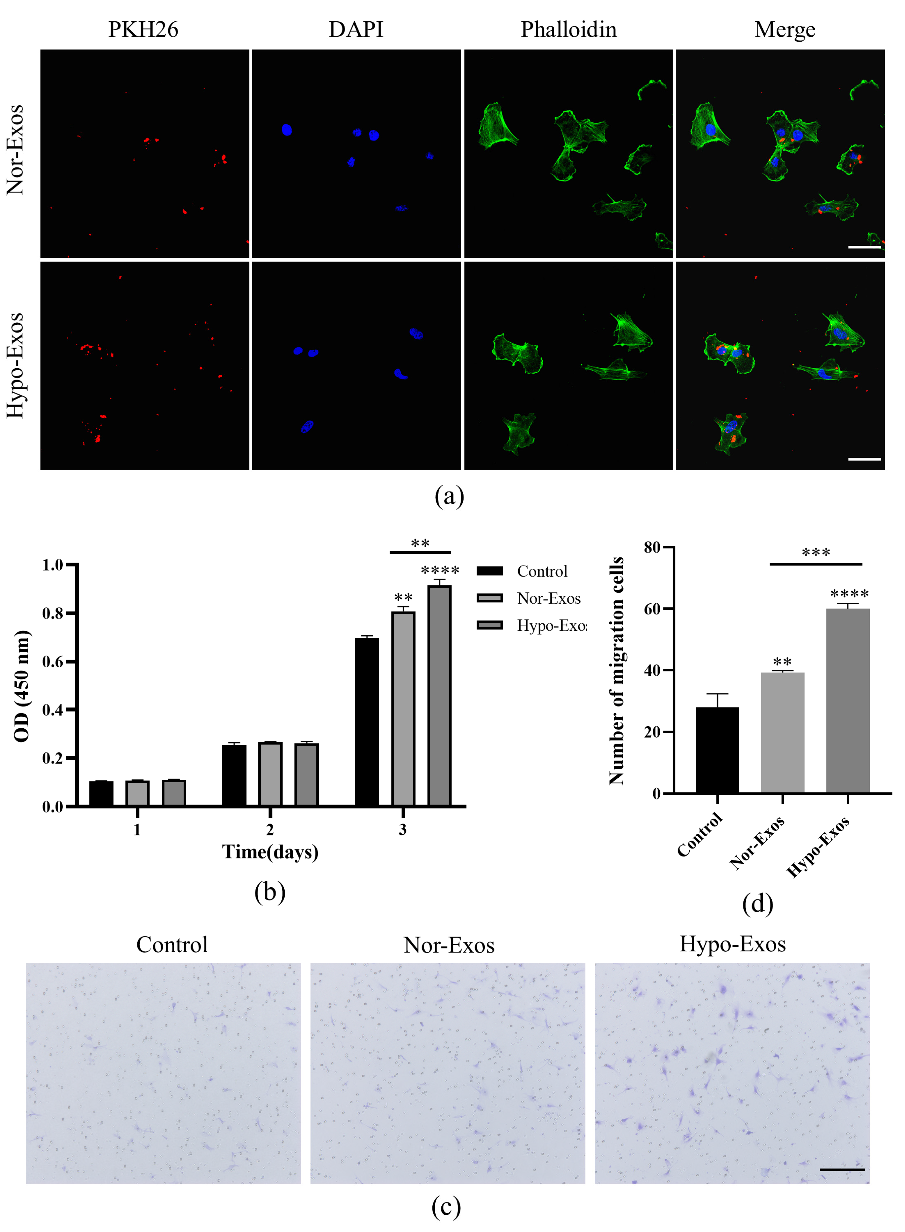 Biomolecules 12 00575 g003