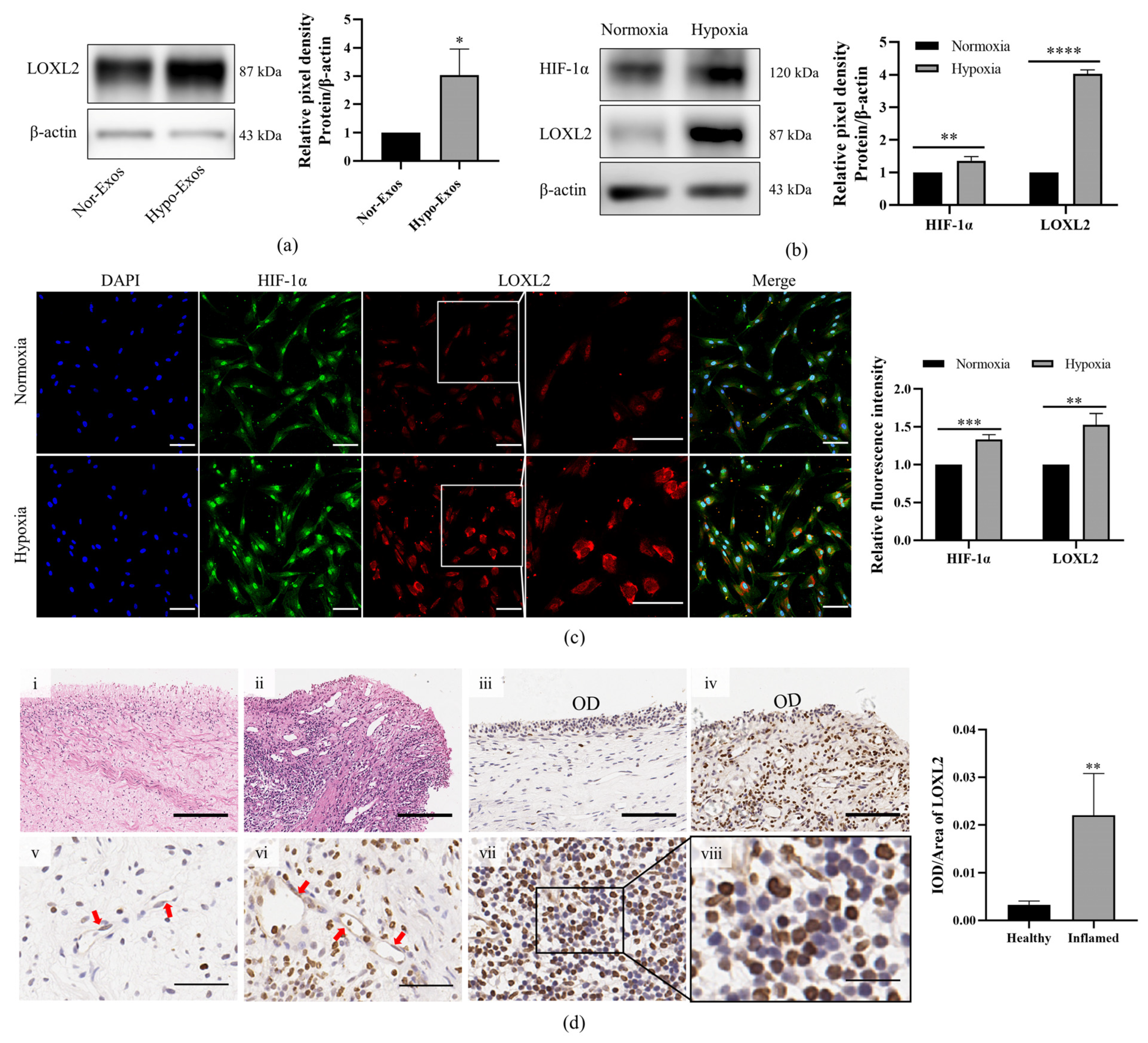 Biomolecules 12 00575 g007