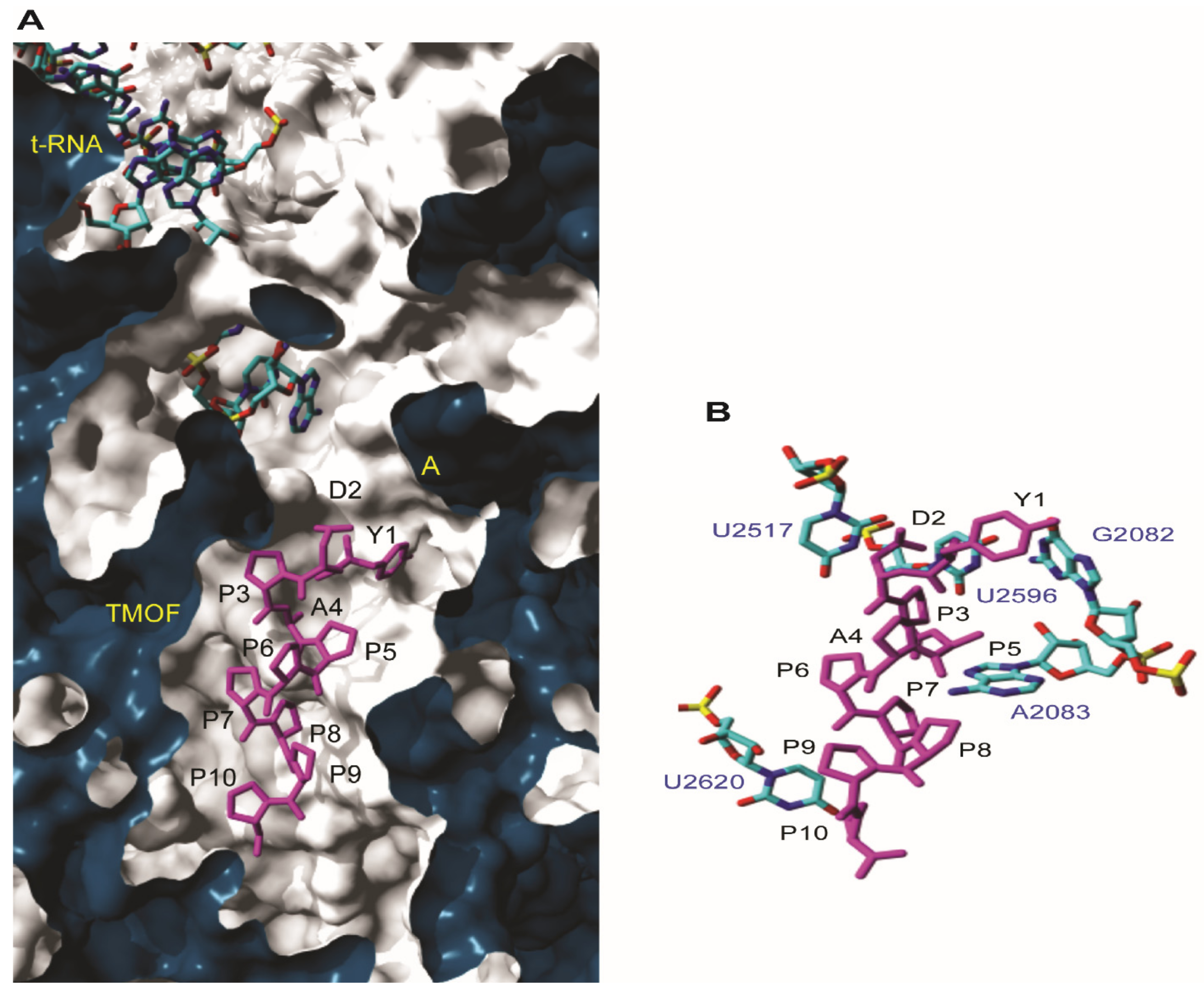 Biomolecules 12 00577 g005
