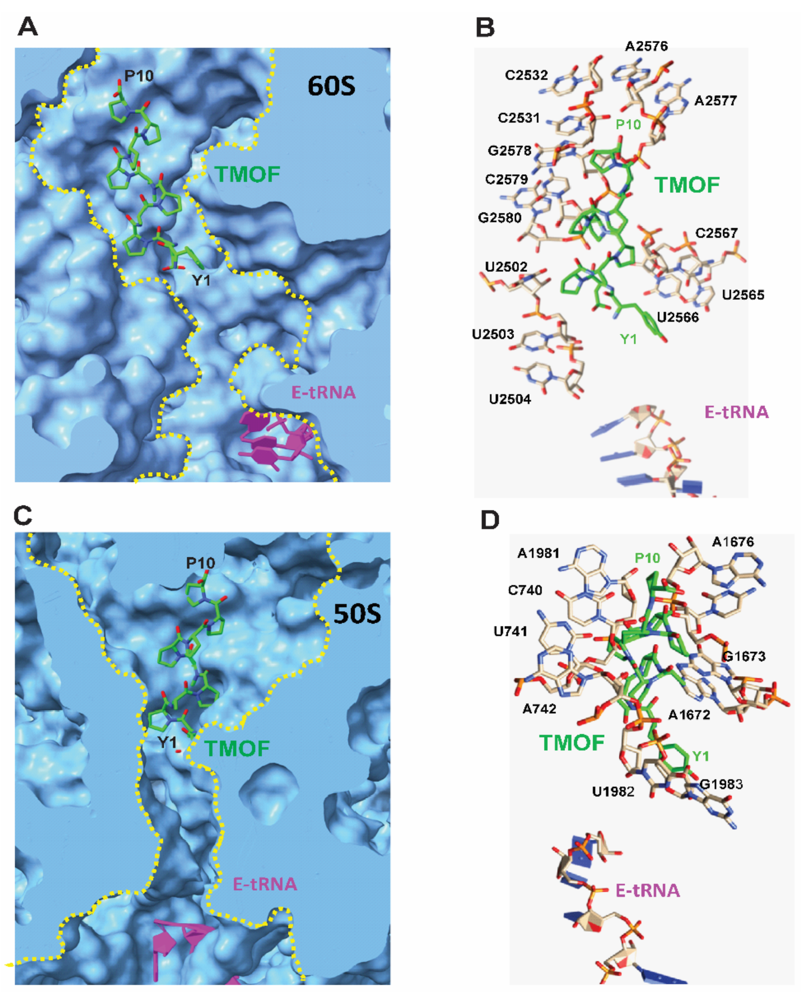 Biomolecules 12 00577 g006