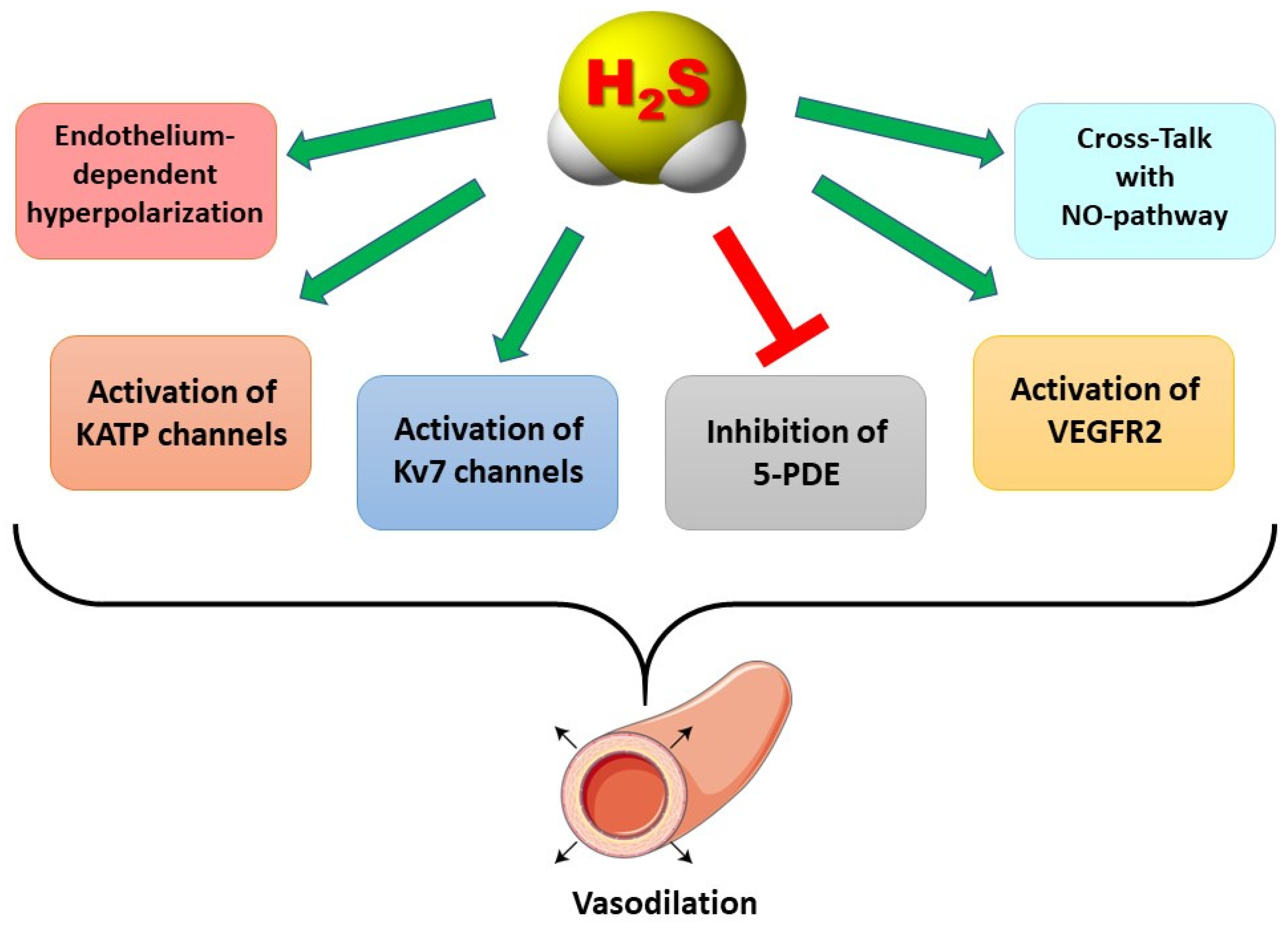 Biomolecules 12 00581 g001 Biomolecules 12 00581 g001