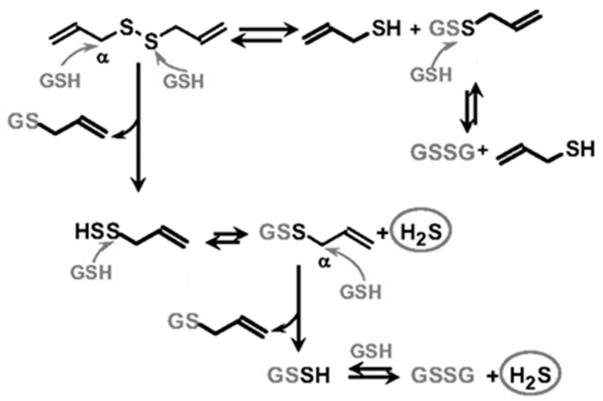 Biomolecules 12 00581 g002 Biomolecules 12 00581 g002