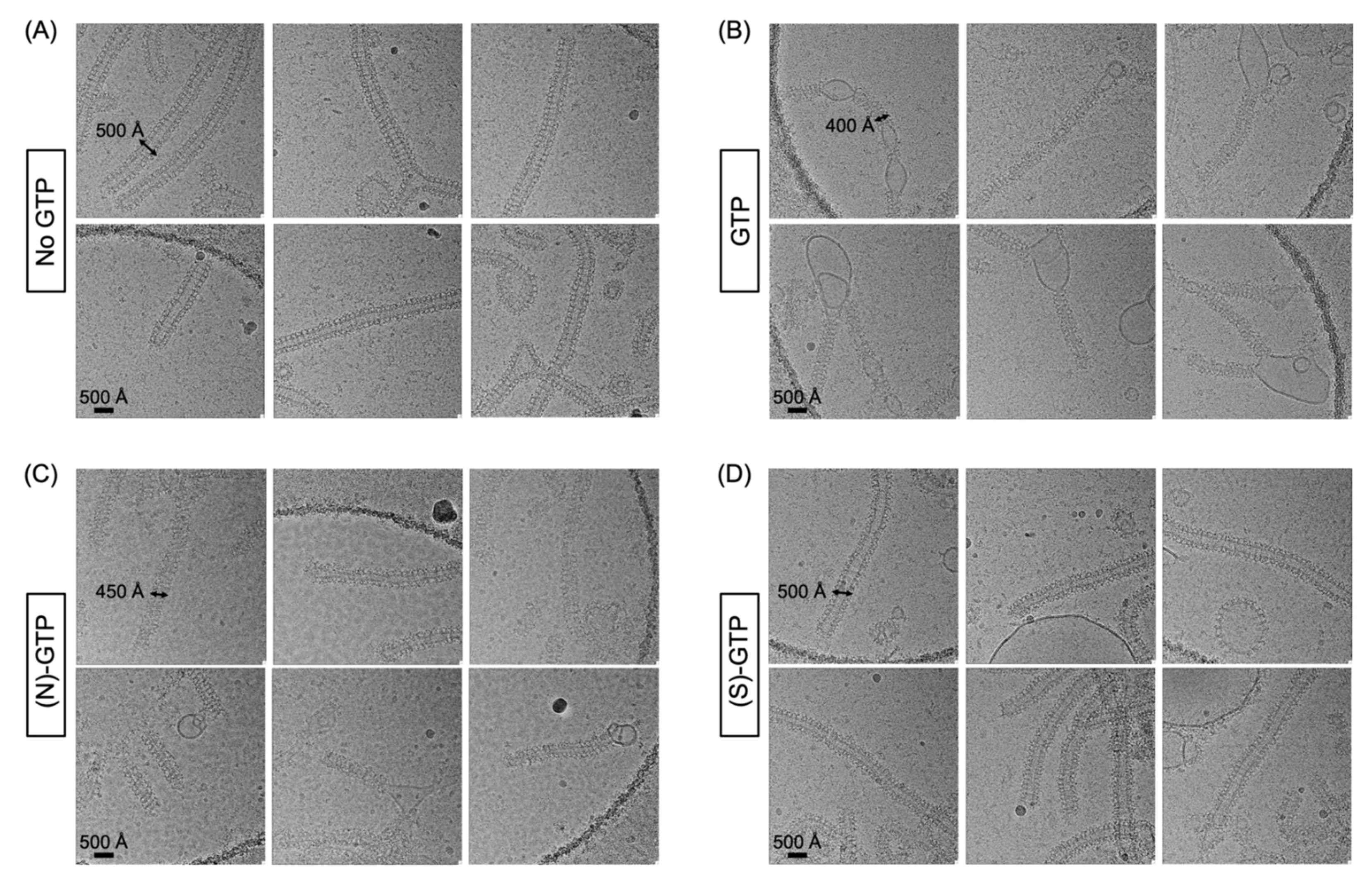 Biomolecules 12 00584 g001 Biomolecules 12 00584 g001