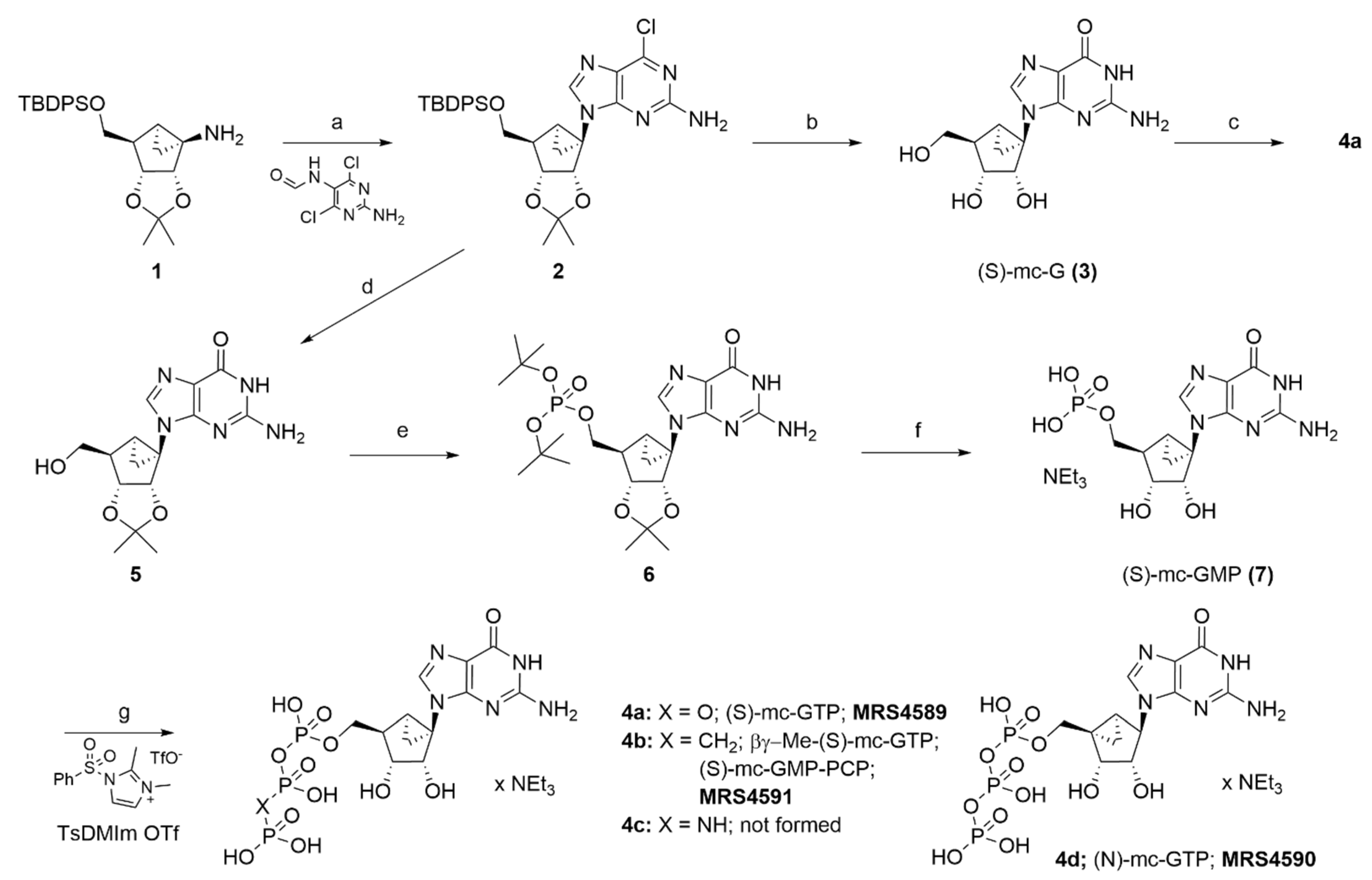 Biomolecules 12 00584 sch001 Biomolecules 12 00584 sch001