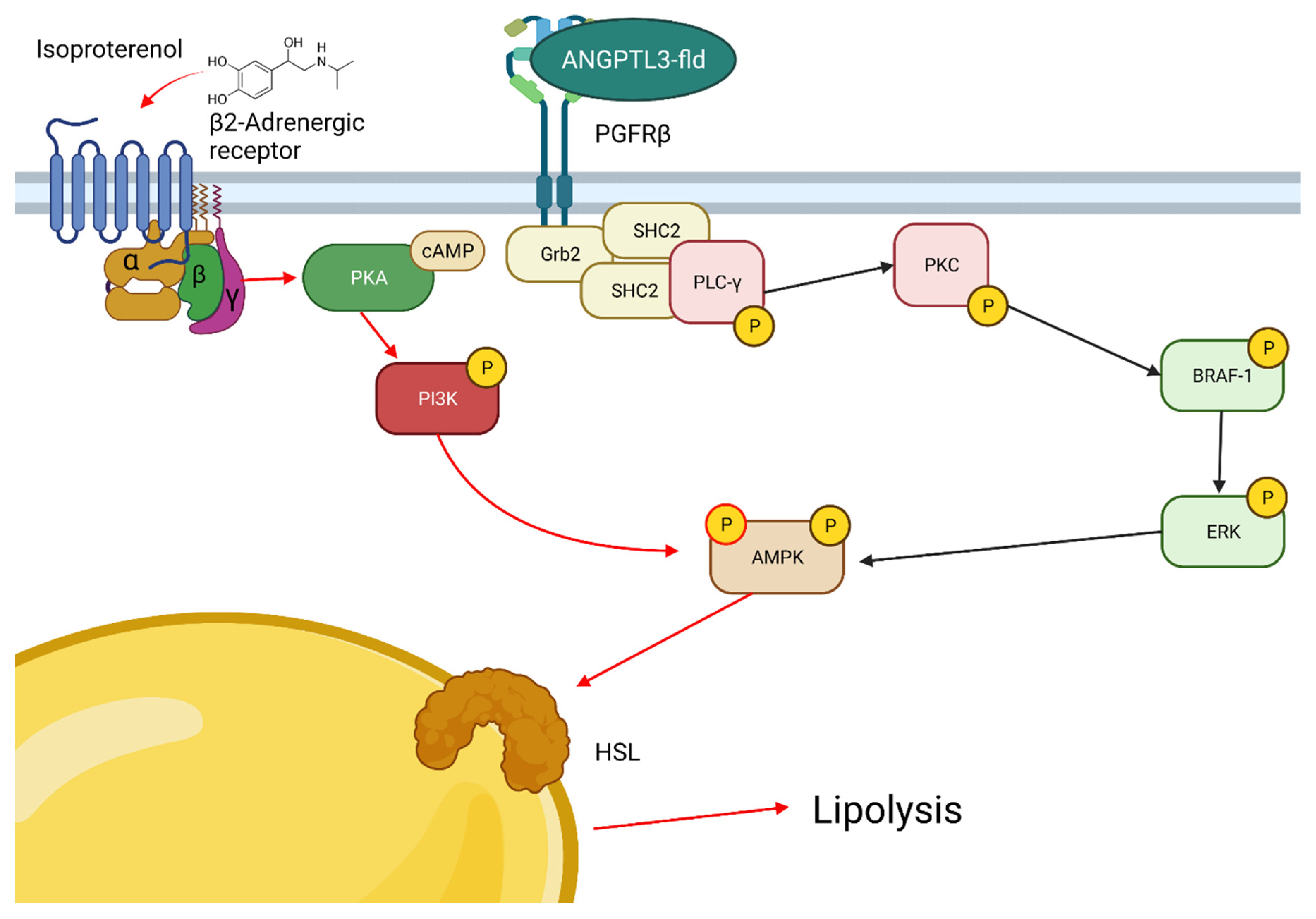 Biomolecules 12 00585 g005