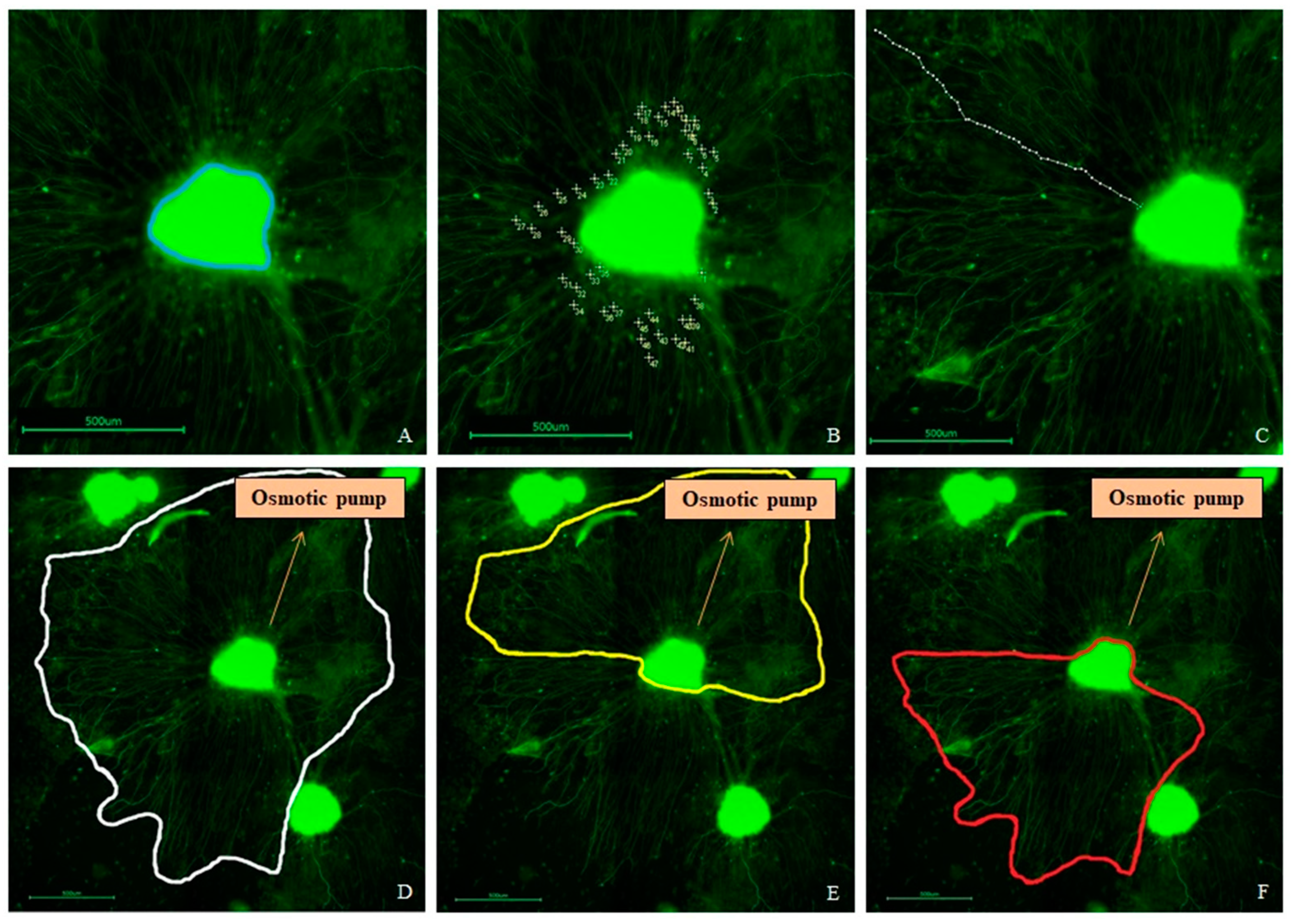 Biomolecules 12 00589 g005 Biomolecules 12 00589 g005