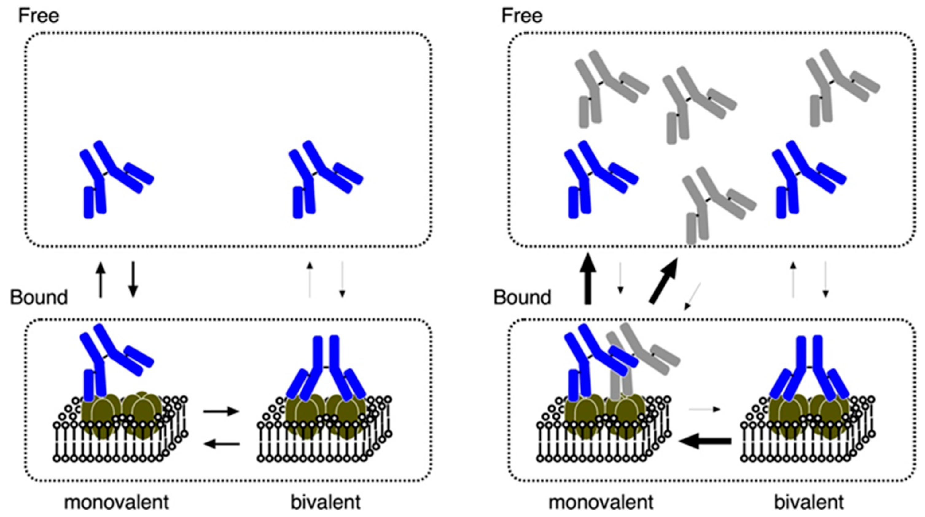 Biomolecules 12 00591 g003