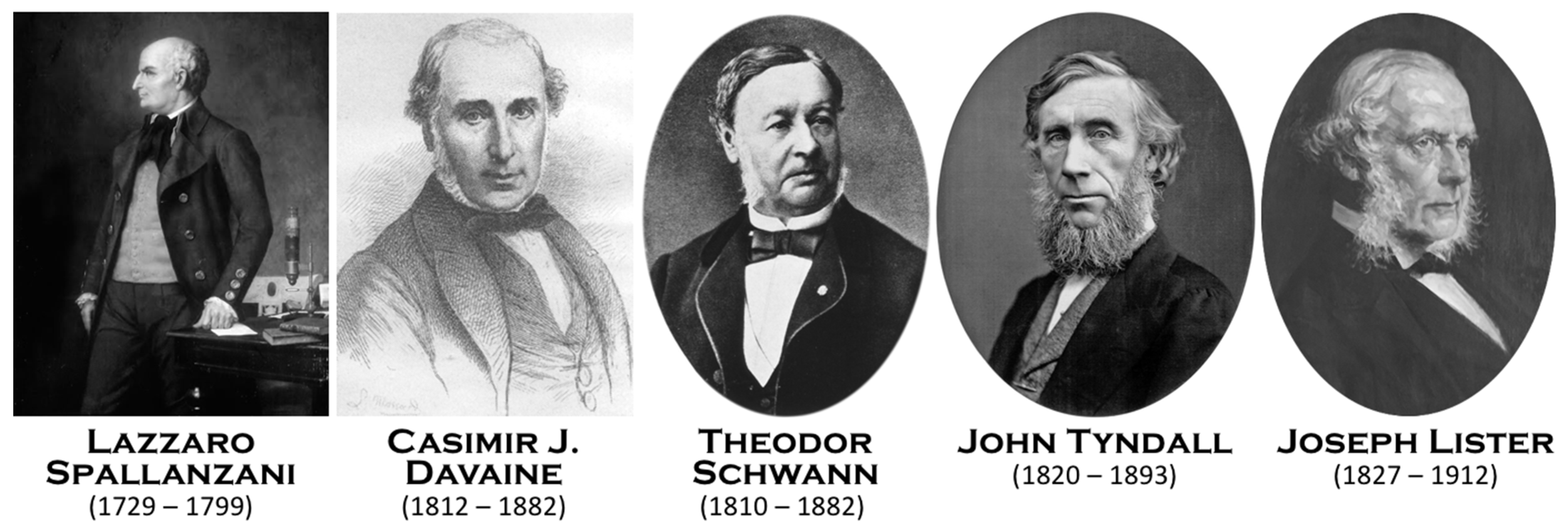 Biomolecules 12 00596 g002