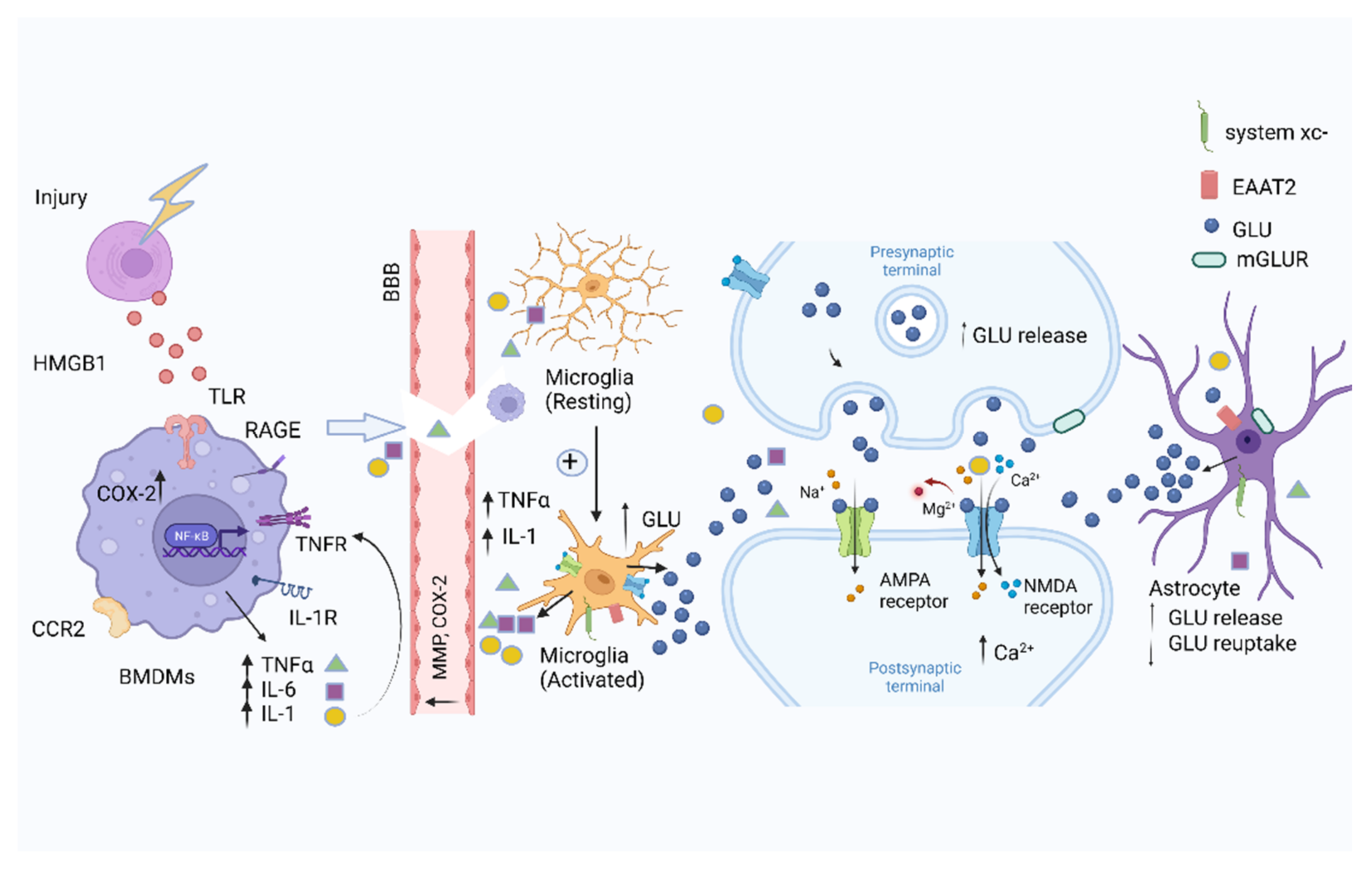 Biomolecules 12 00597 g001