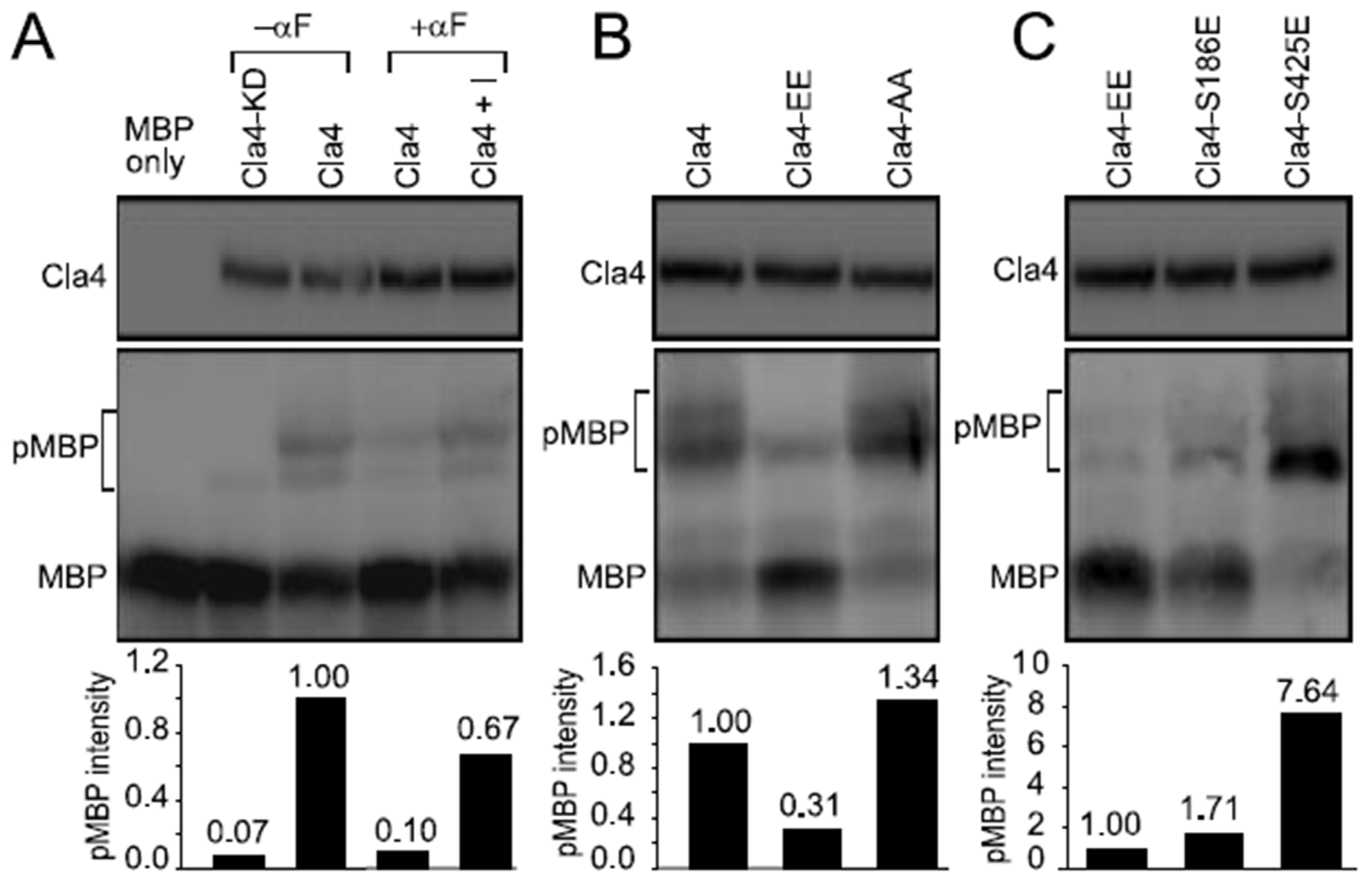 Biomolecules 12 00598 g004 Biomolecules 12 00598 g004