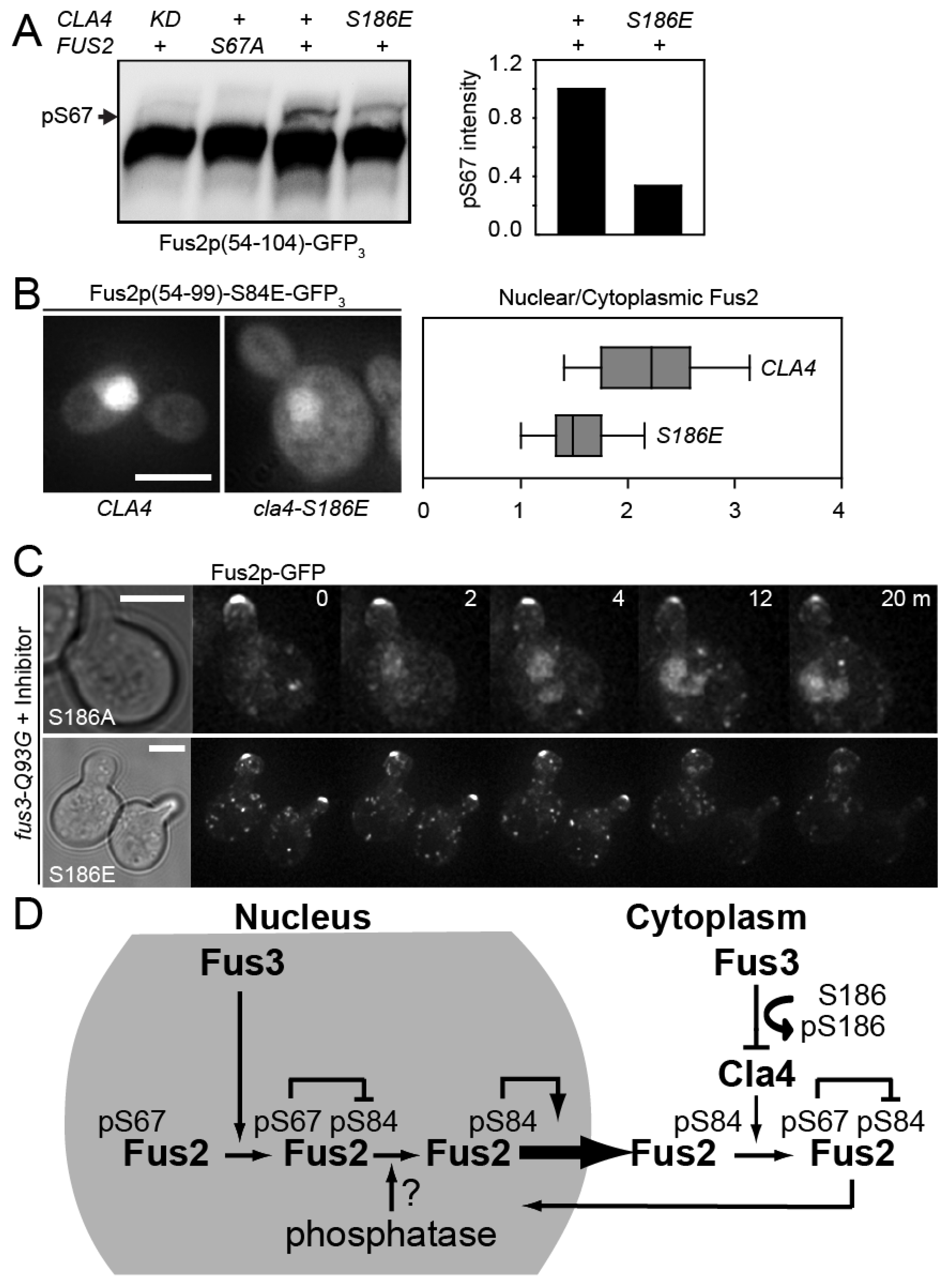 Biomolecules 12 00598 g005 Biomolecules 12 00598 g005