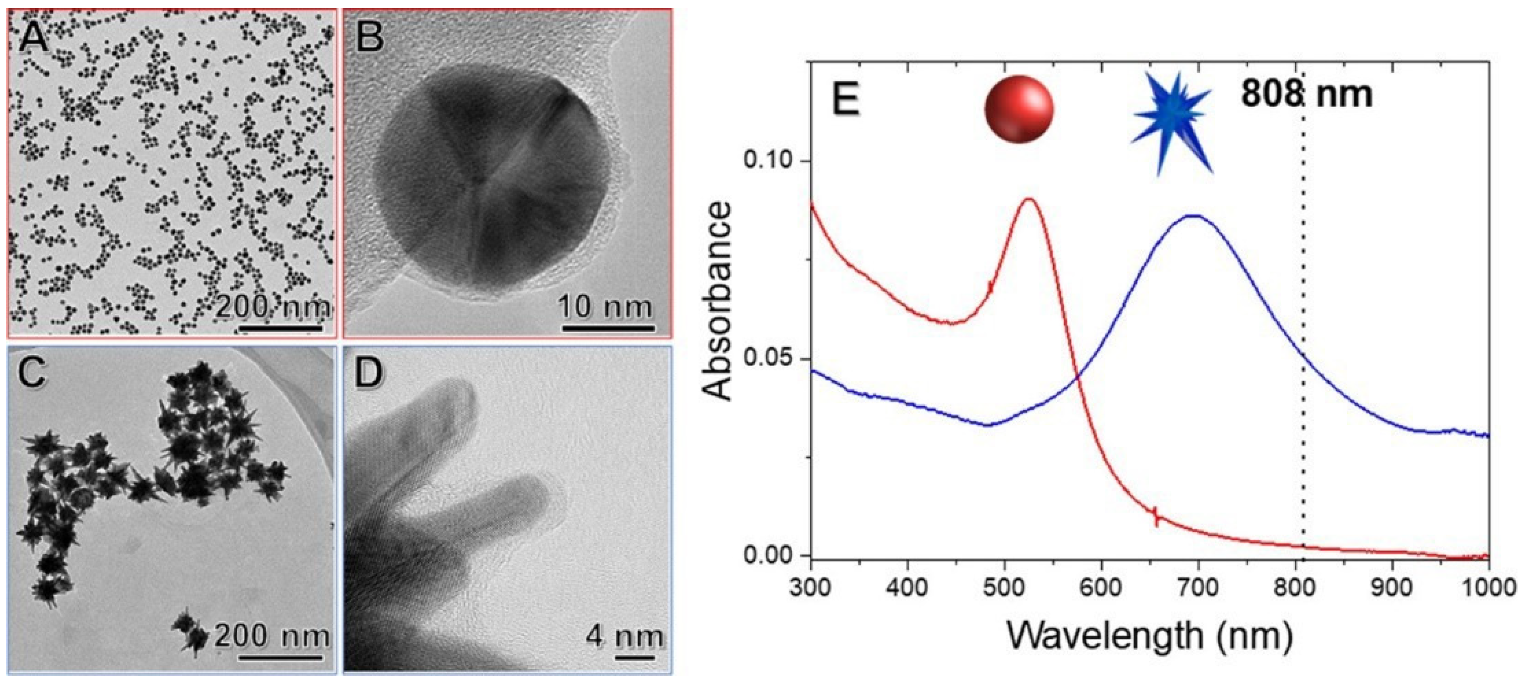 Biomolecules 12 00599 g003