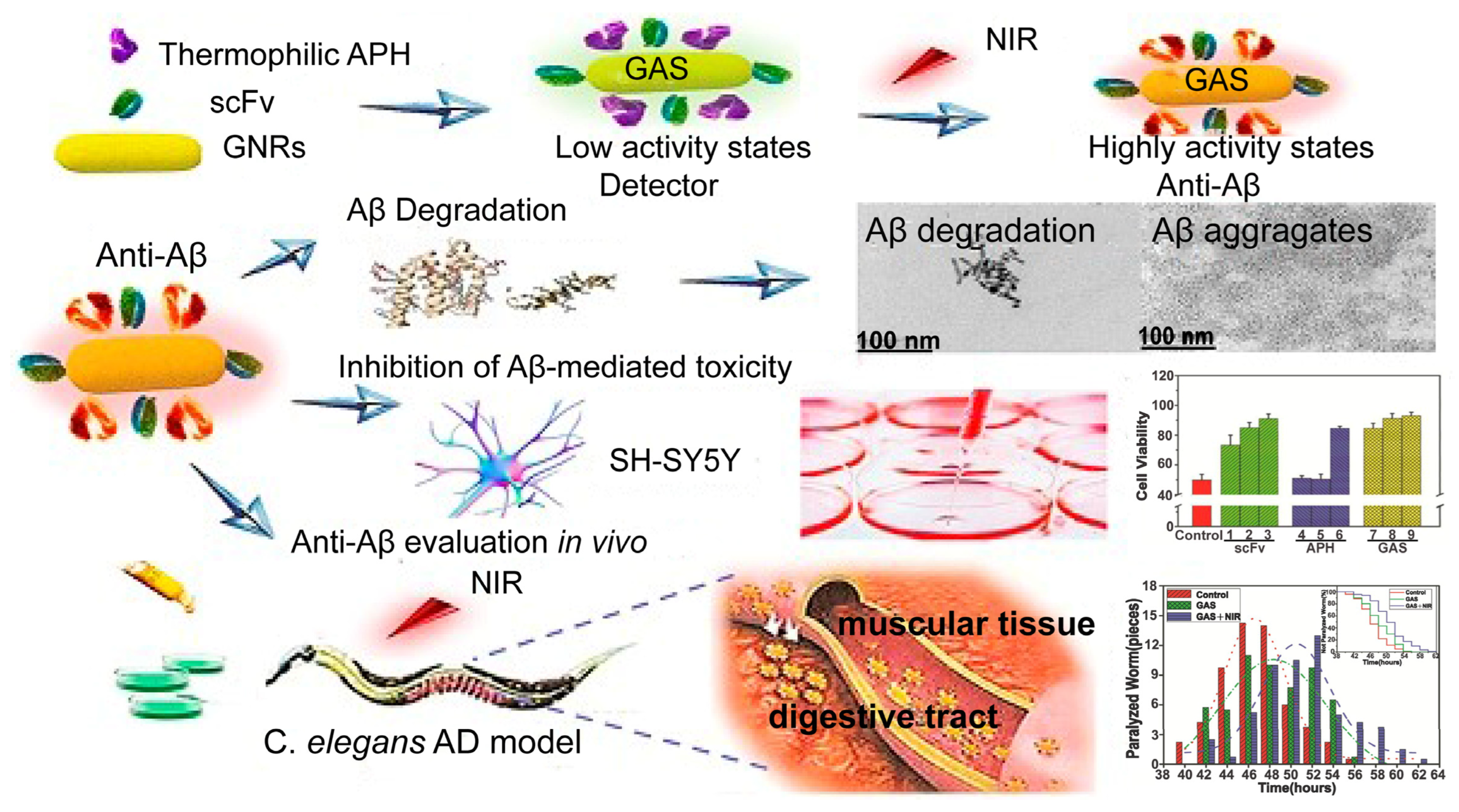 Biomolecules 12 00599 g005