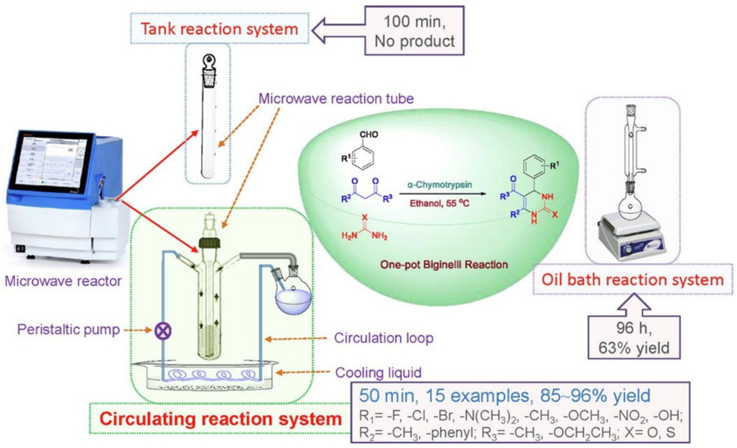 Biomolecules 12 00599 g007