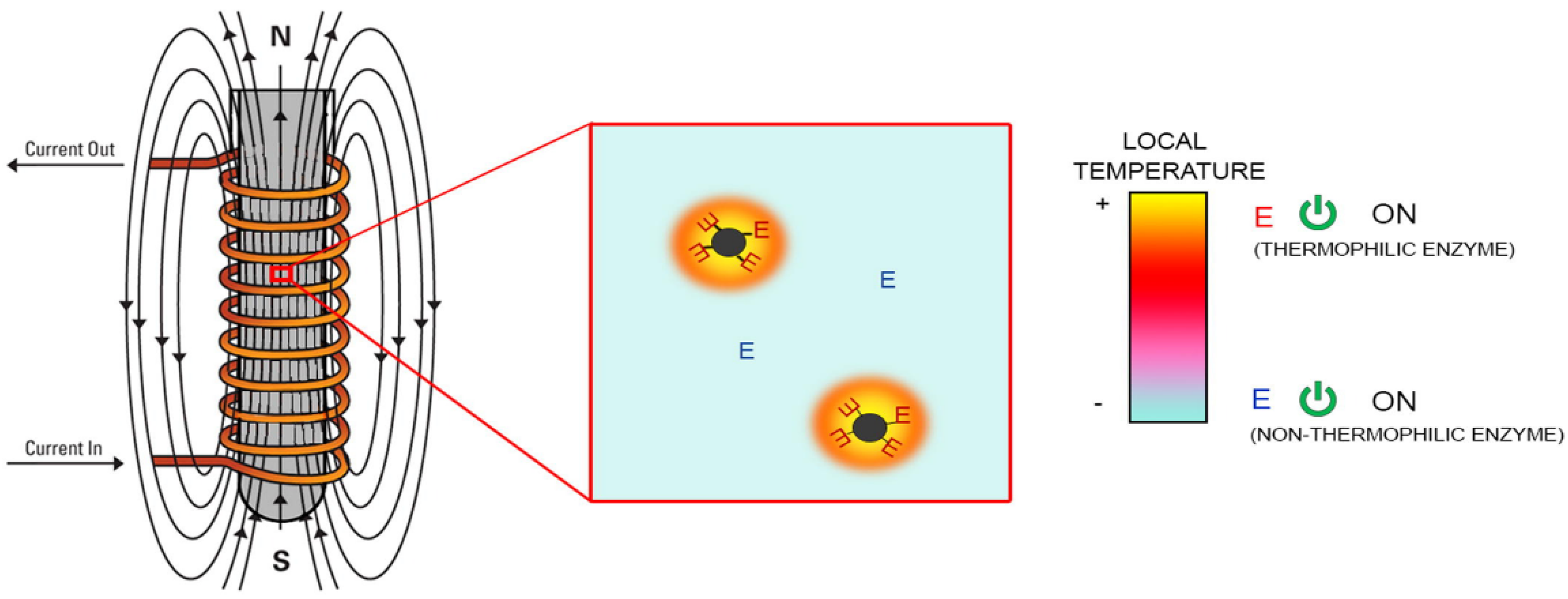 Biomolecules 12 00599 g009