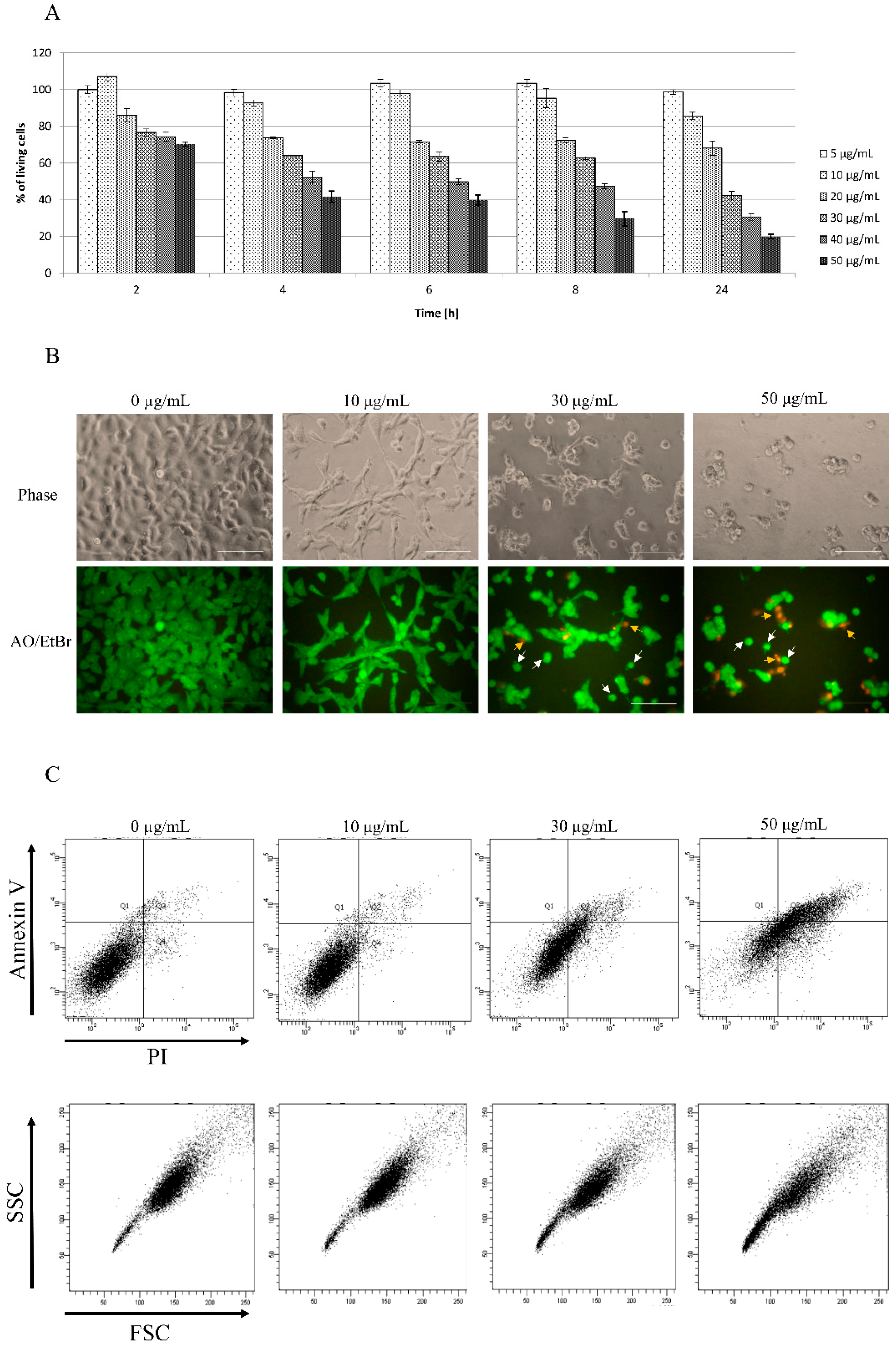 Biomolecules 12 00608 g001