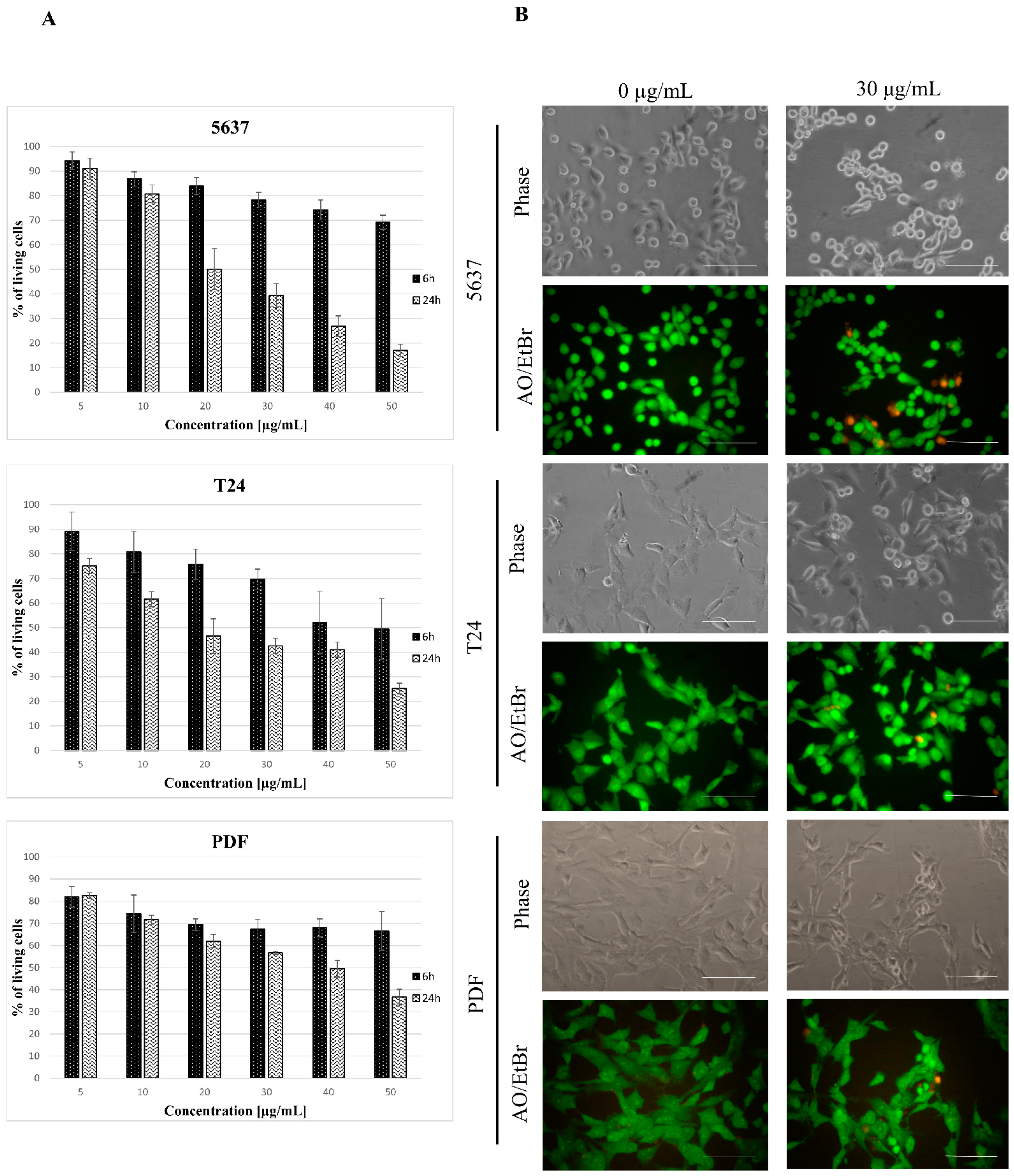 Biomolecules 12 00608 g005