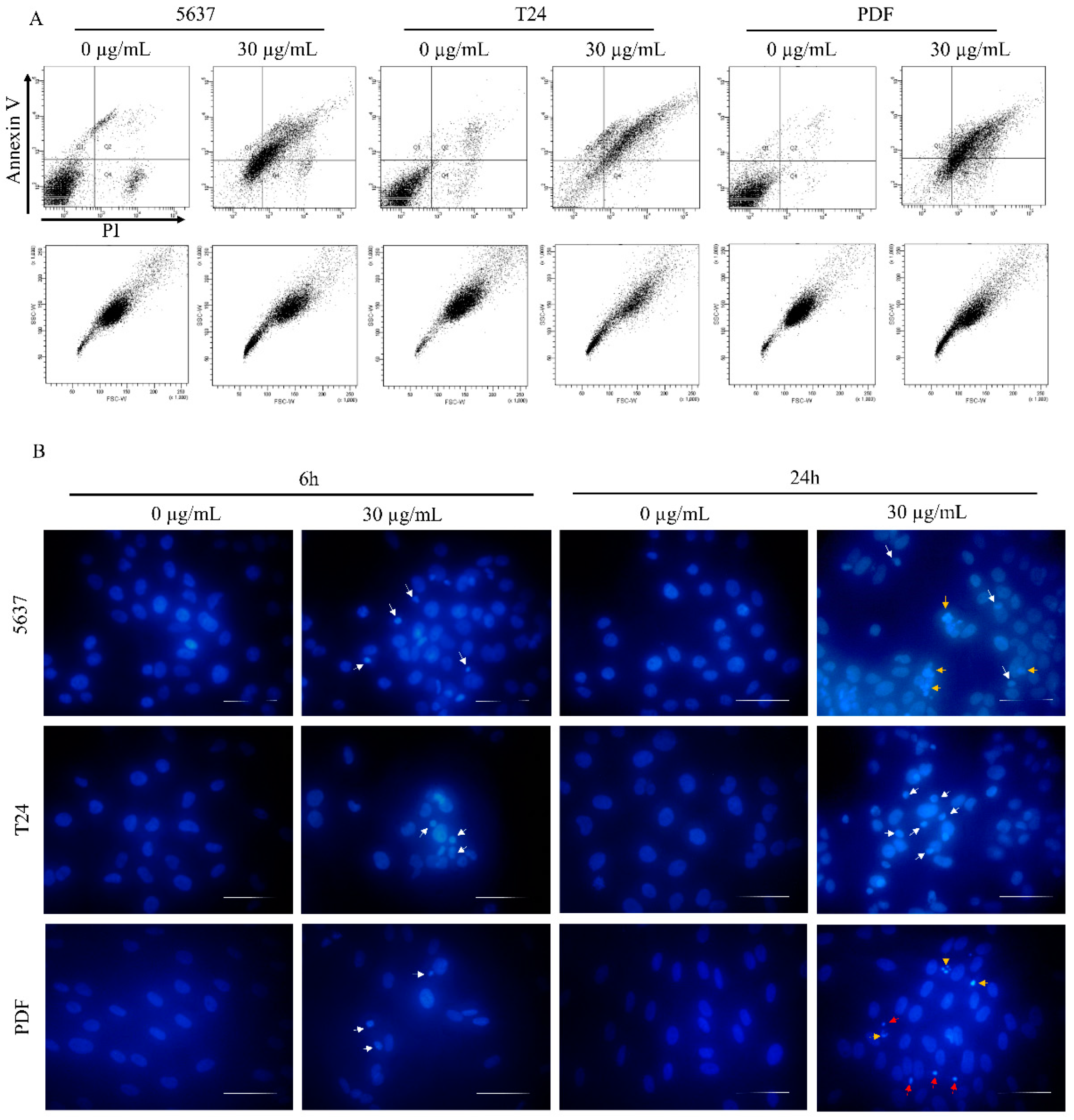 Biomolecules 12 00608 g006