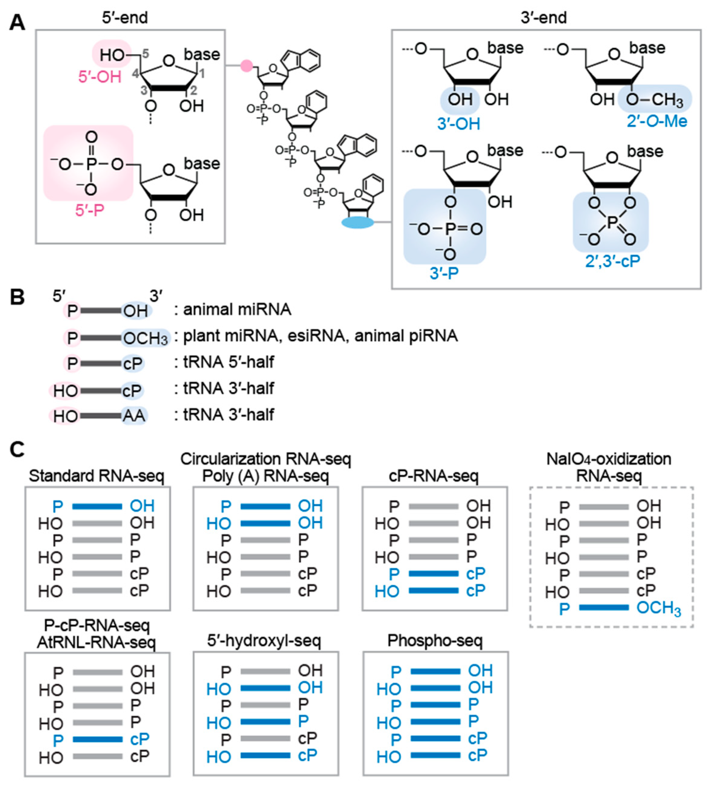 Biomolecules 12 00611 g001