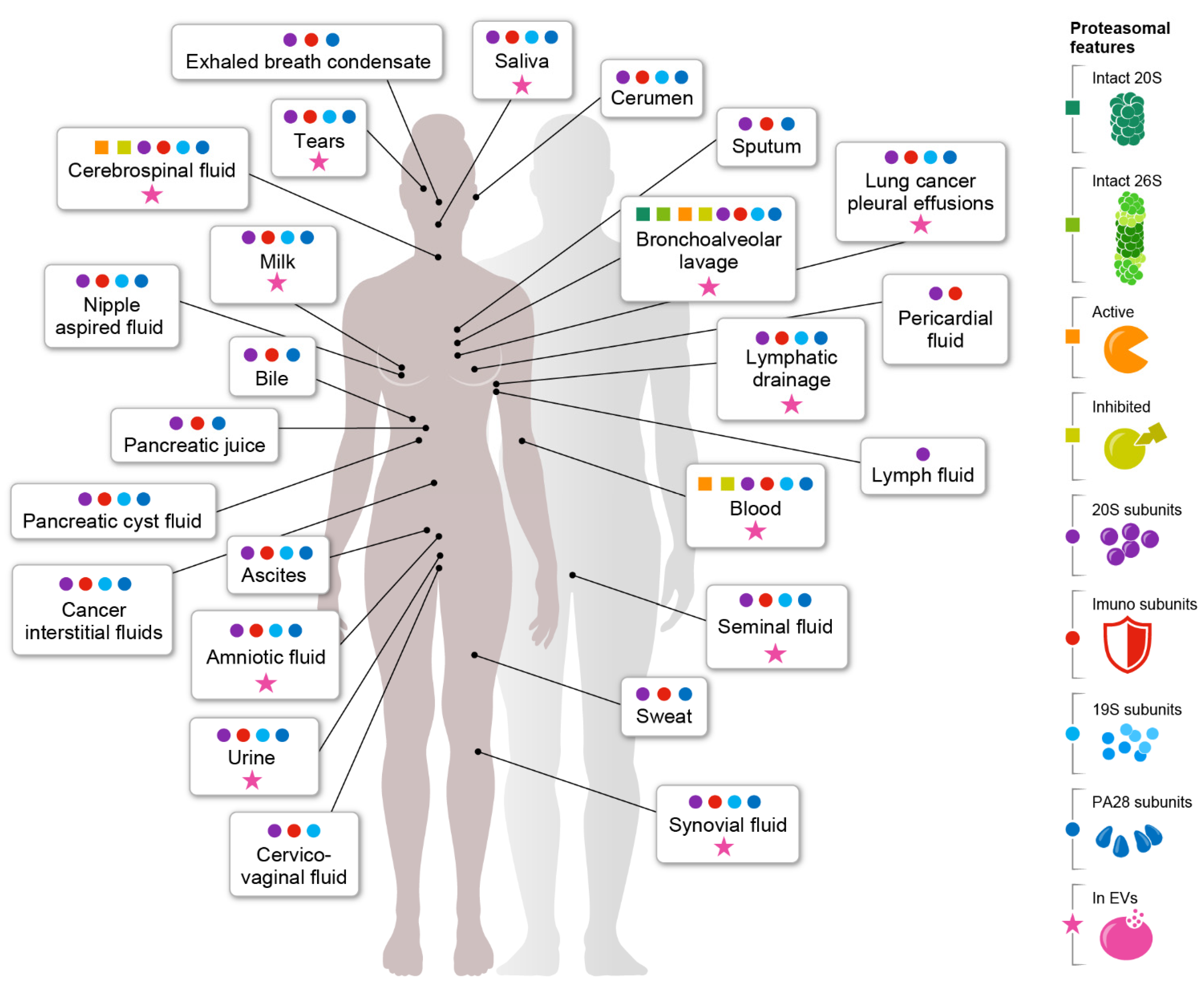 Biomolecules 12 00619 g002