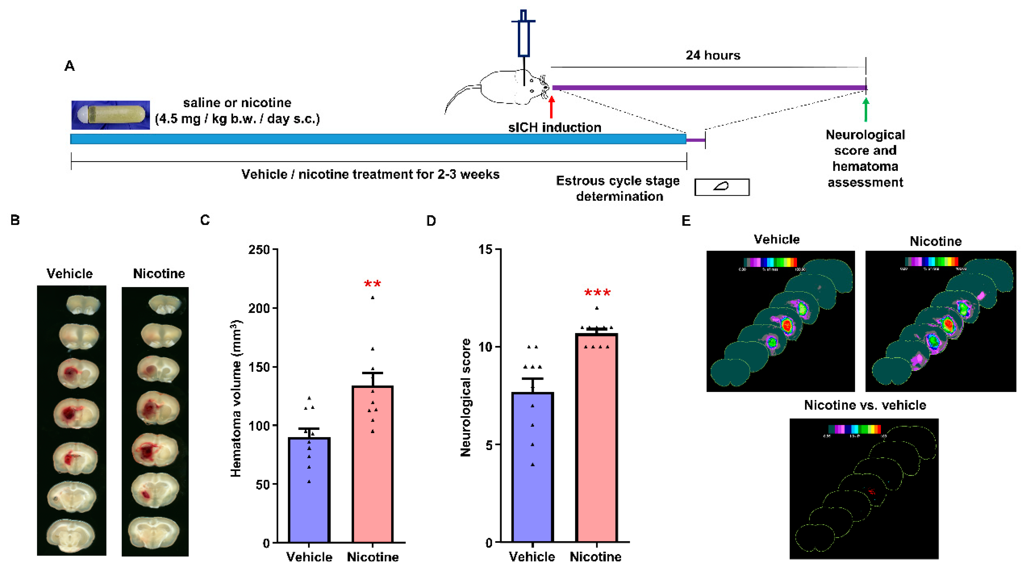 Biomolecules 12 00621 g002