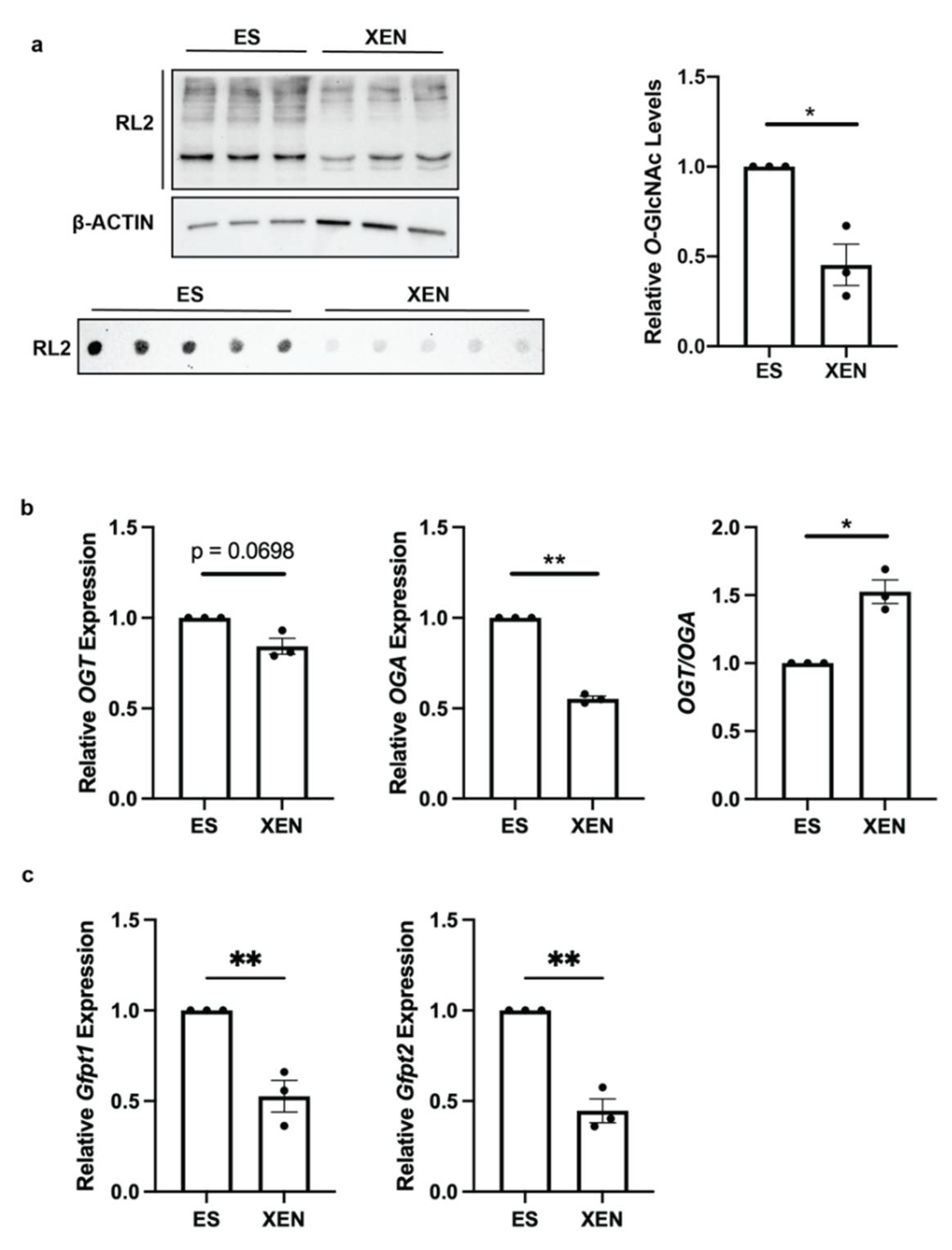 Biomolecules 12 00623 g001