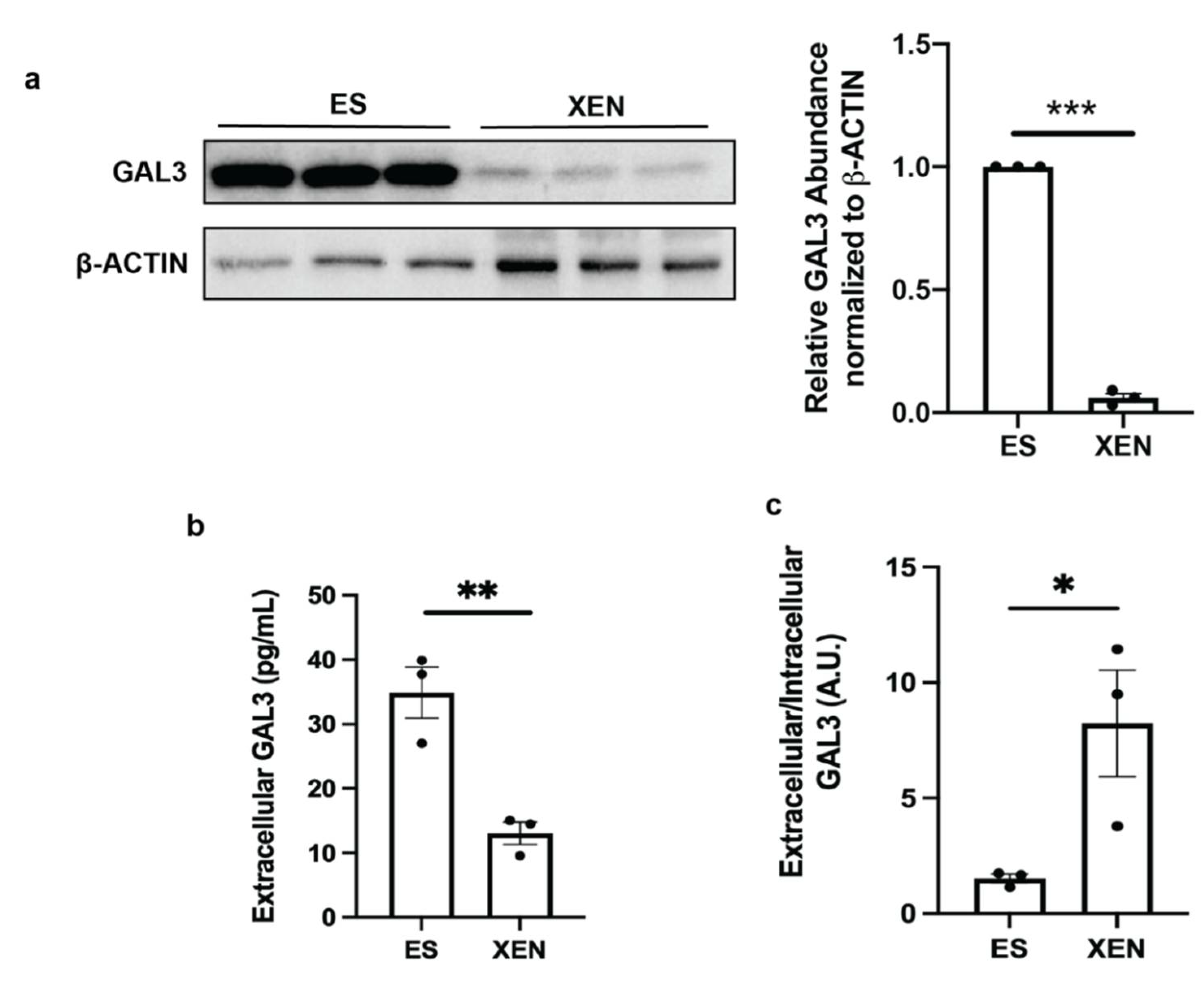 Biomolecules 12 00623 g004