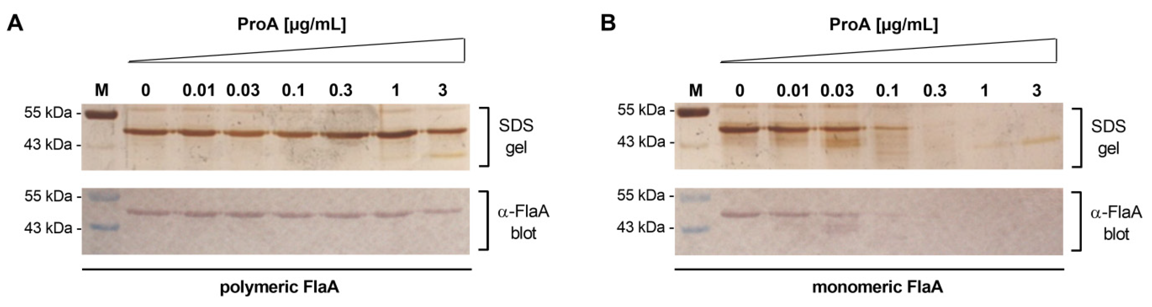 Biomolecules 12 00624 g001