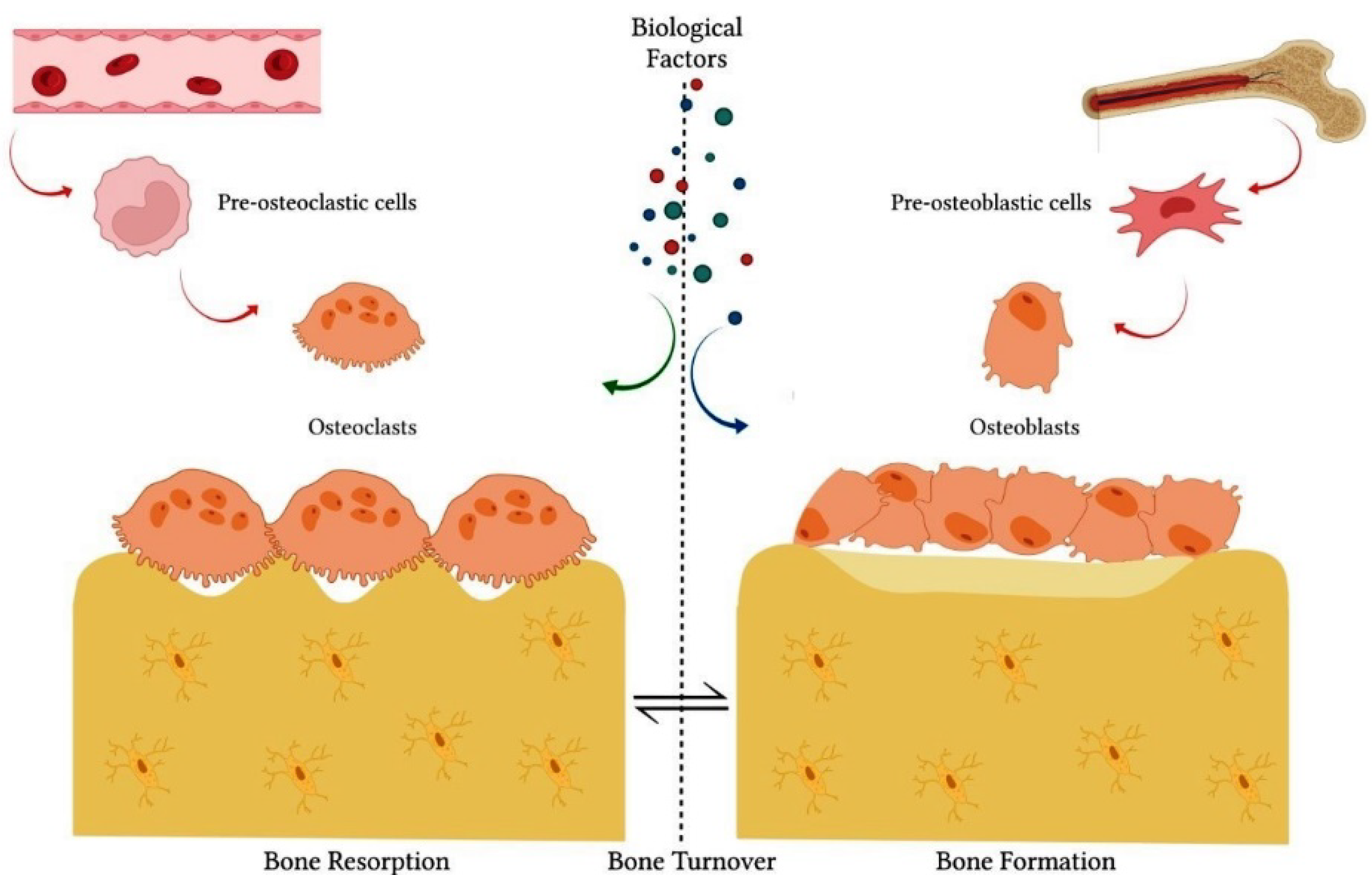 Biomolecules 12 00626 g001