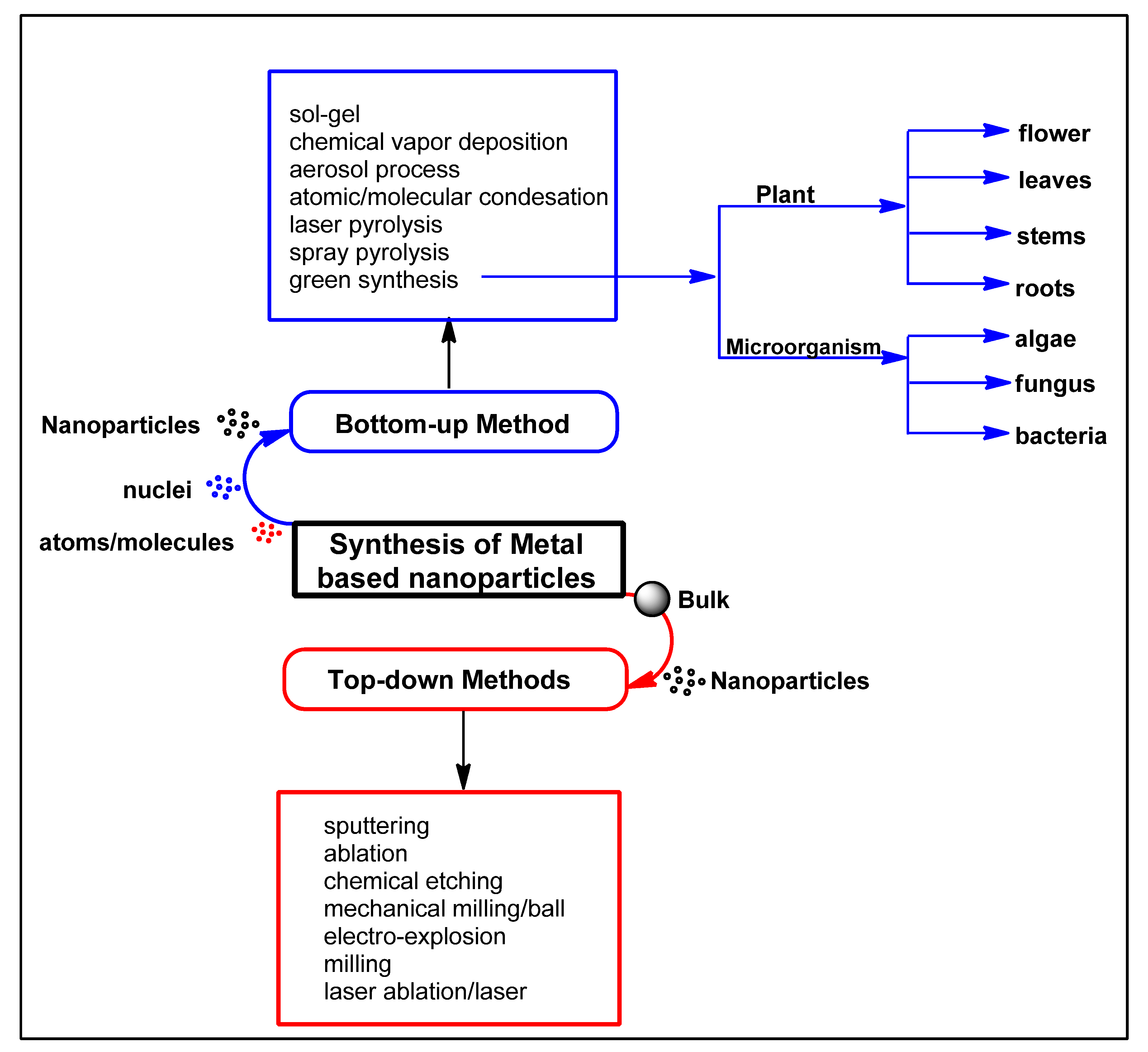 Biomolecules 12 00627 g001