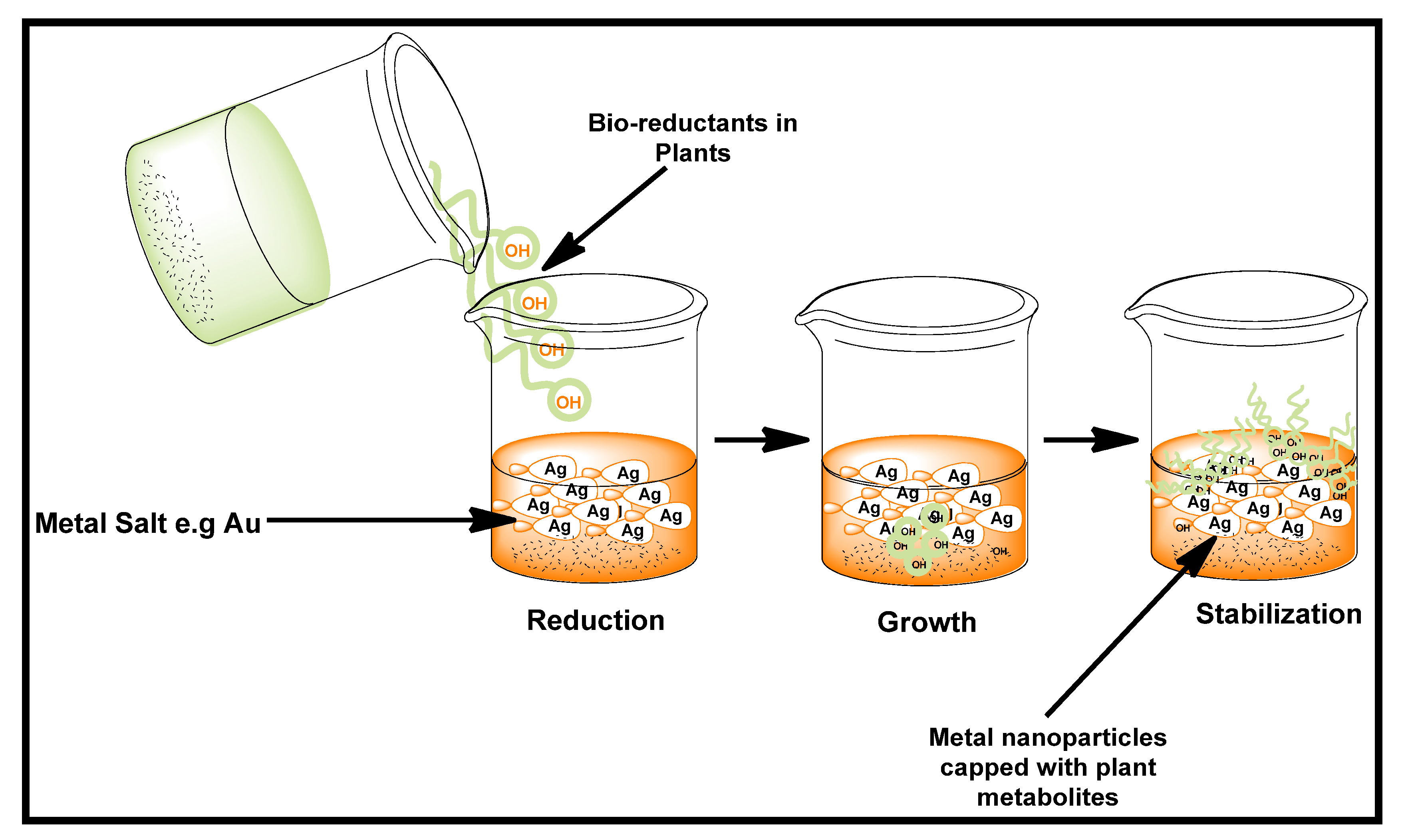 Biomolecules 12 00627 g003