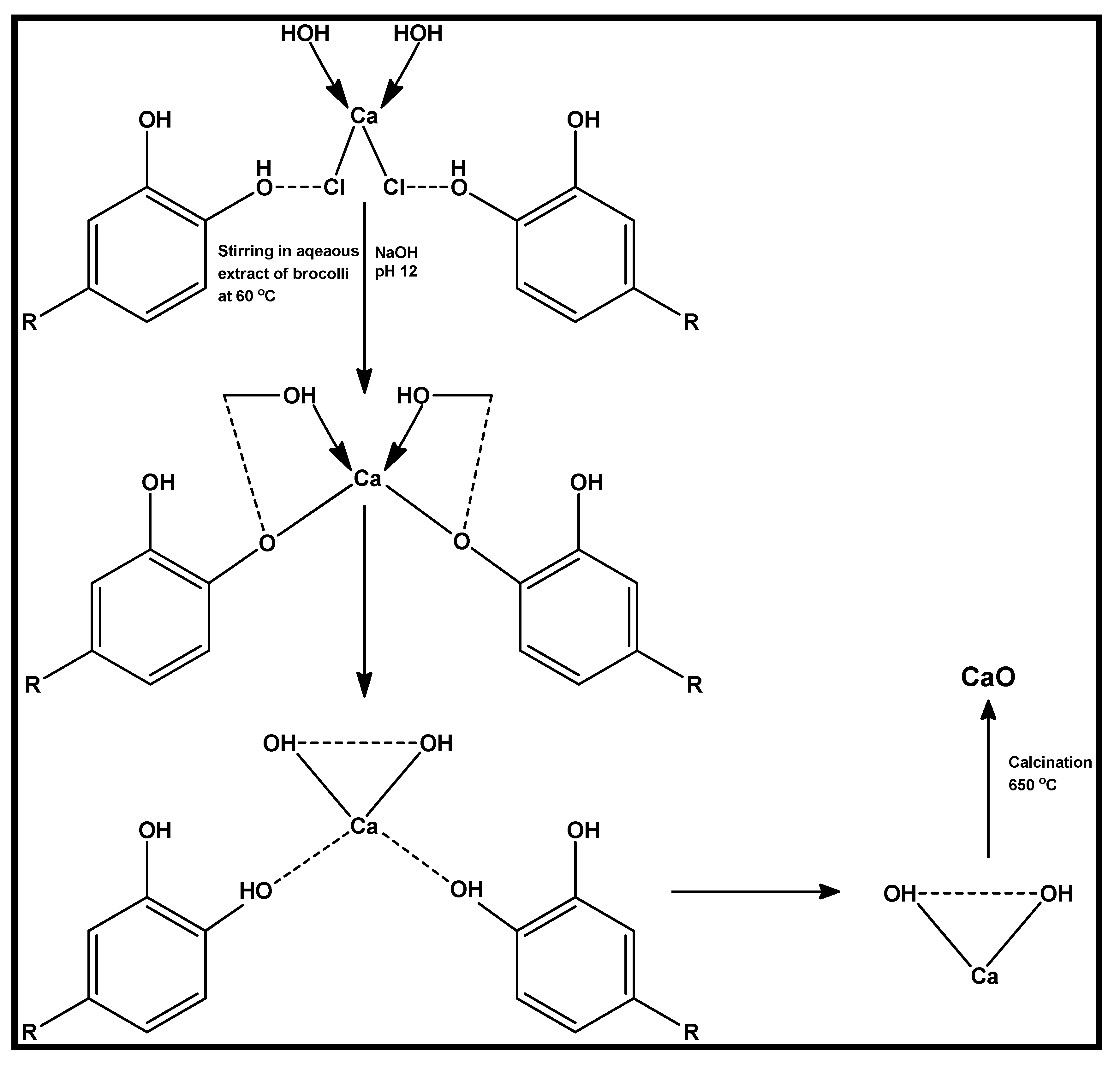 Biomolecules 12 00627 g006
